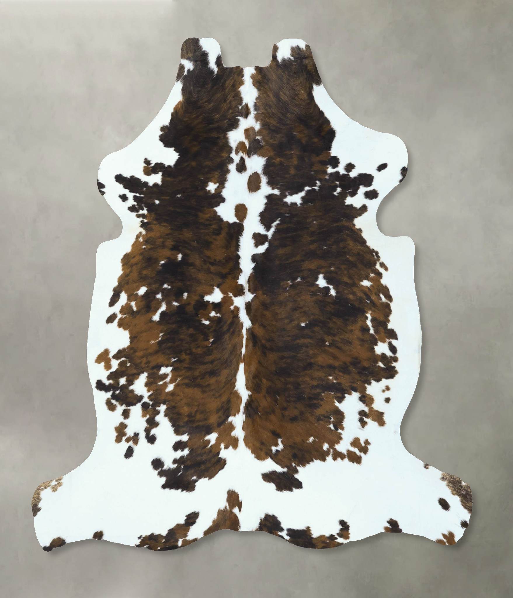 Tricolor Cowhide Rug #B22854