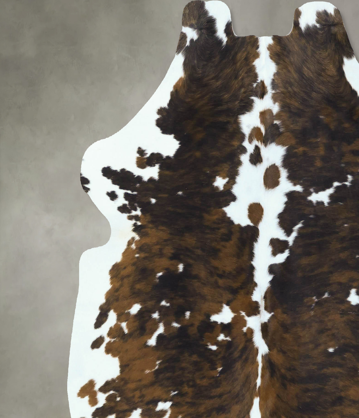 Tricolor X-Large European Cowhide Rug 6'6"H x 6'2"W #B22854 by Hudson Hides