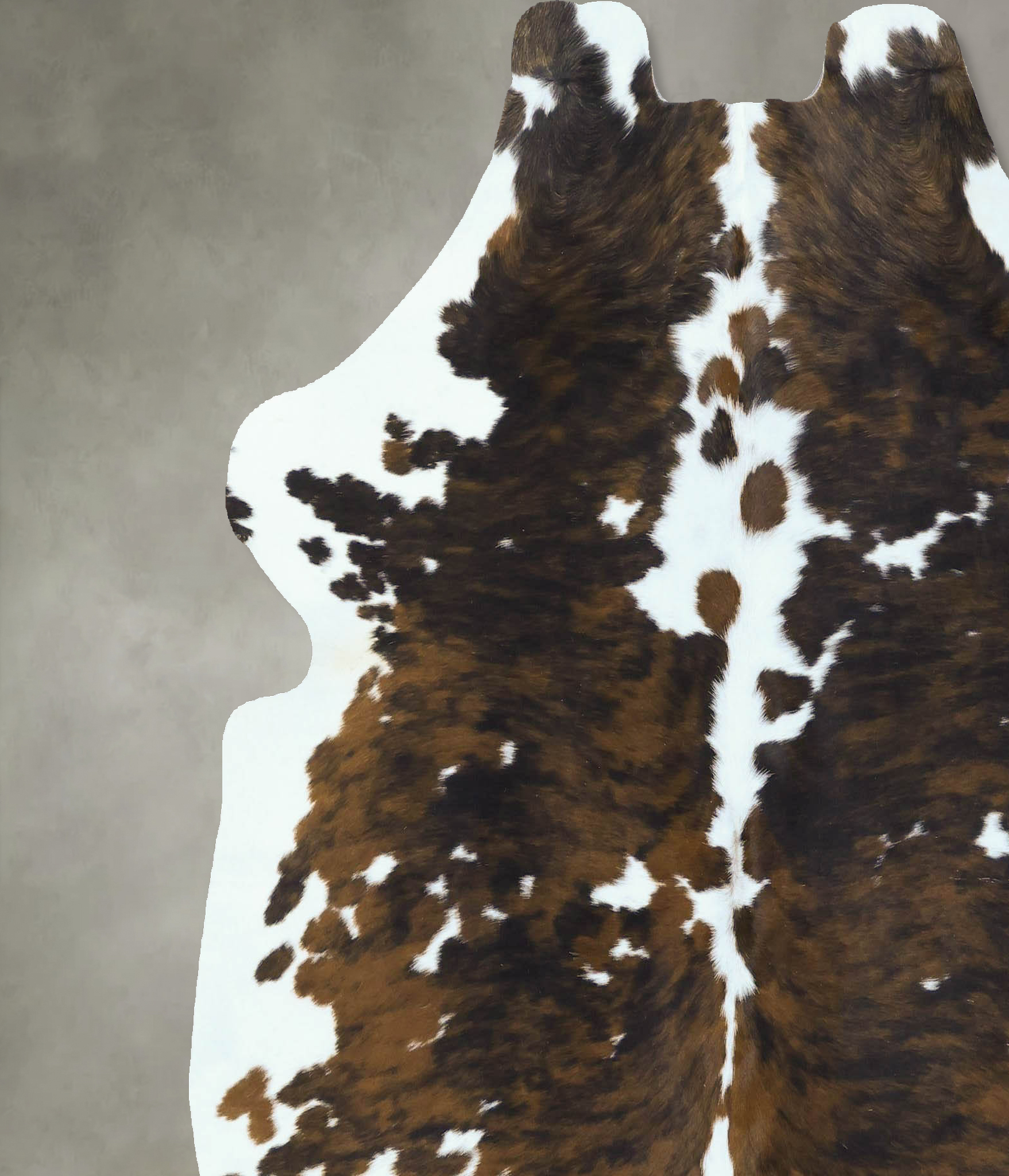 Tricolor Cowhide Rug #B22854