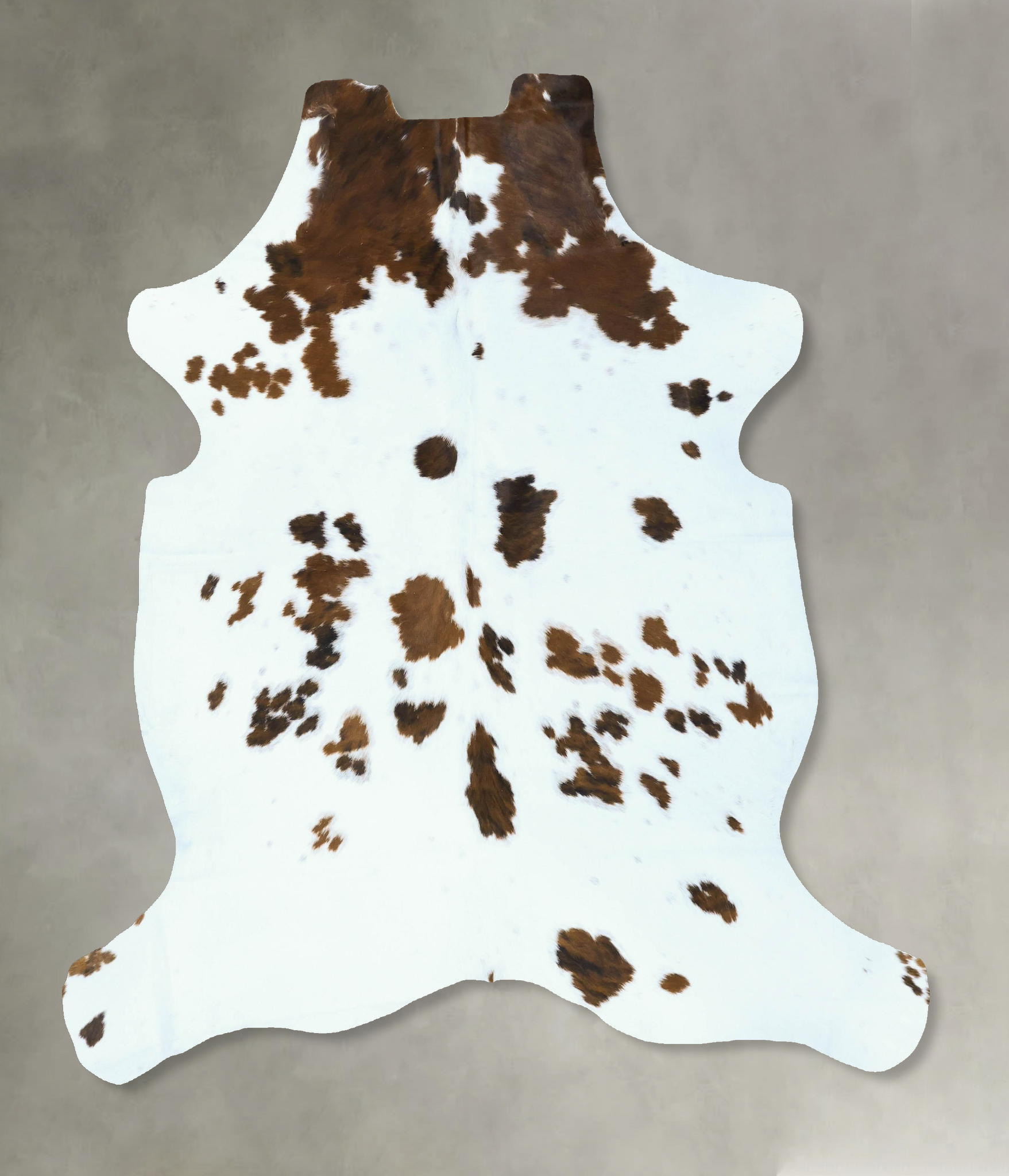 Tricolor Cowhide Rug #B22855