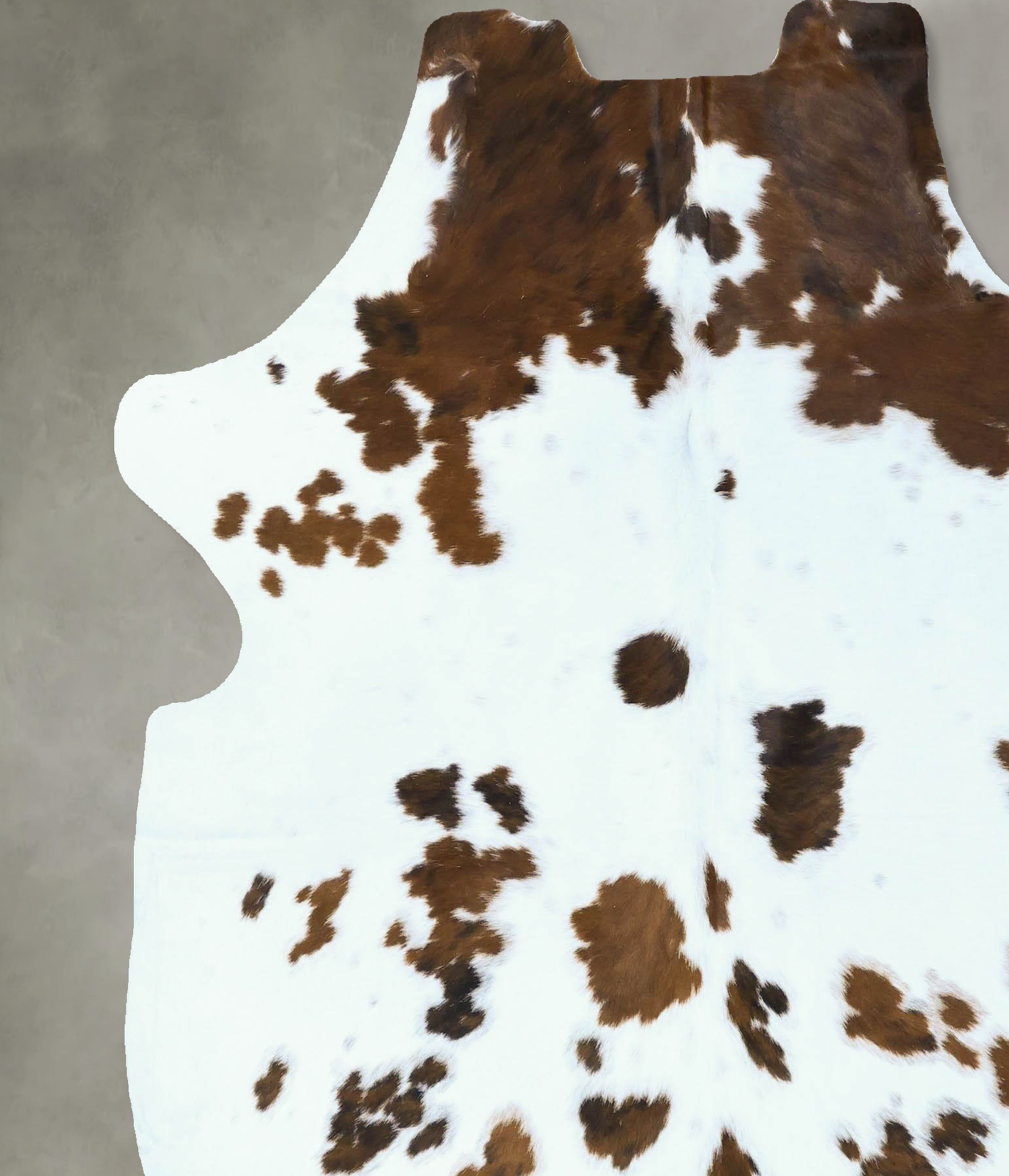 Tricolor Cowhide Rug #B22855