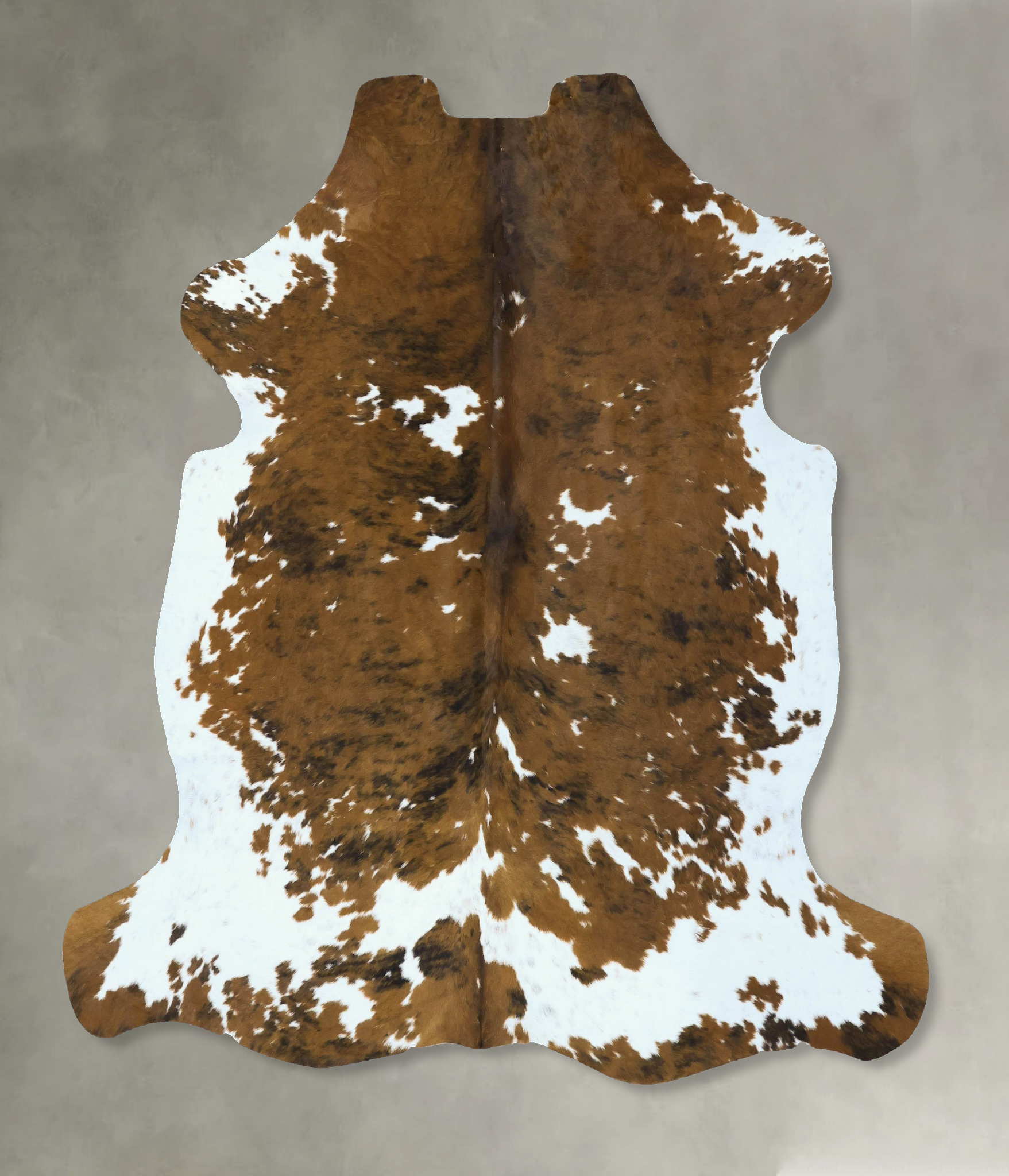 Tricolor Cowhide Rug #B22857