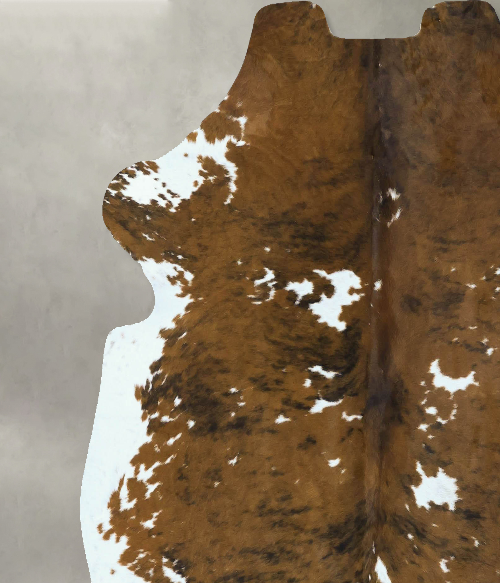 Tricolor Cowhide Rug #B22857
