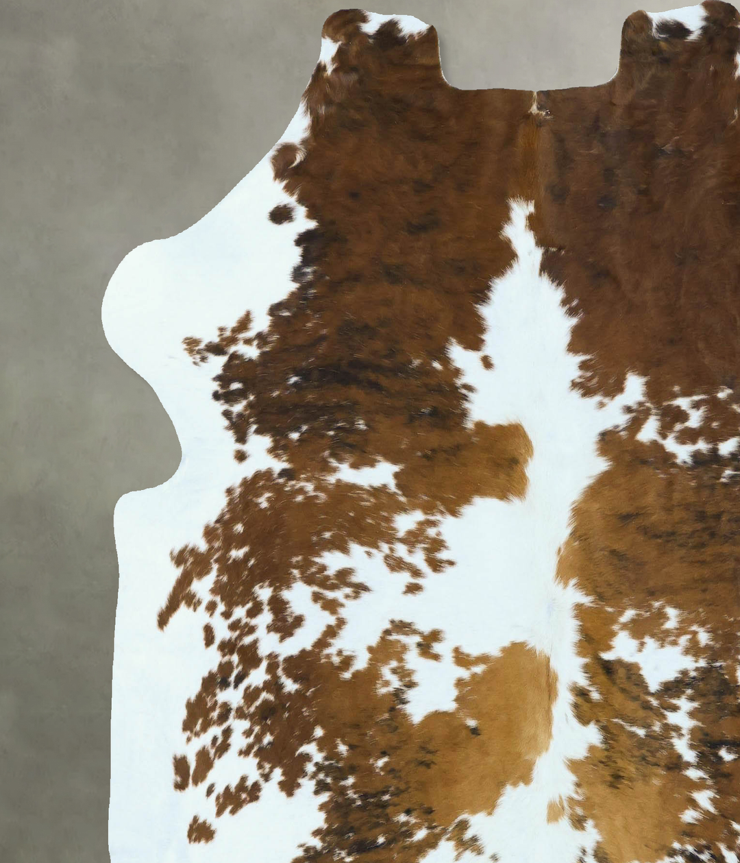 Tricolor Large European Cowhide Rug 6'5"H x 6'0"W #B22858 by Hudson Hi