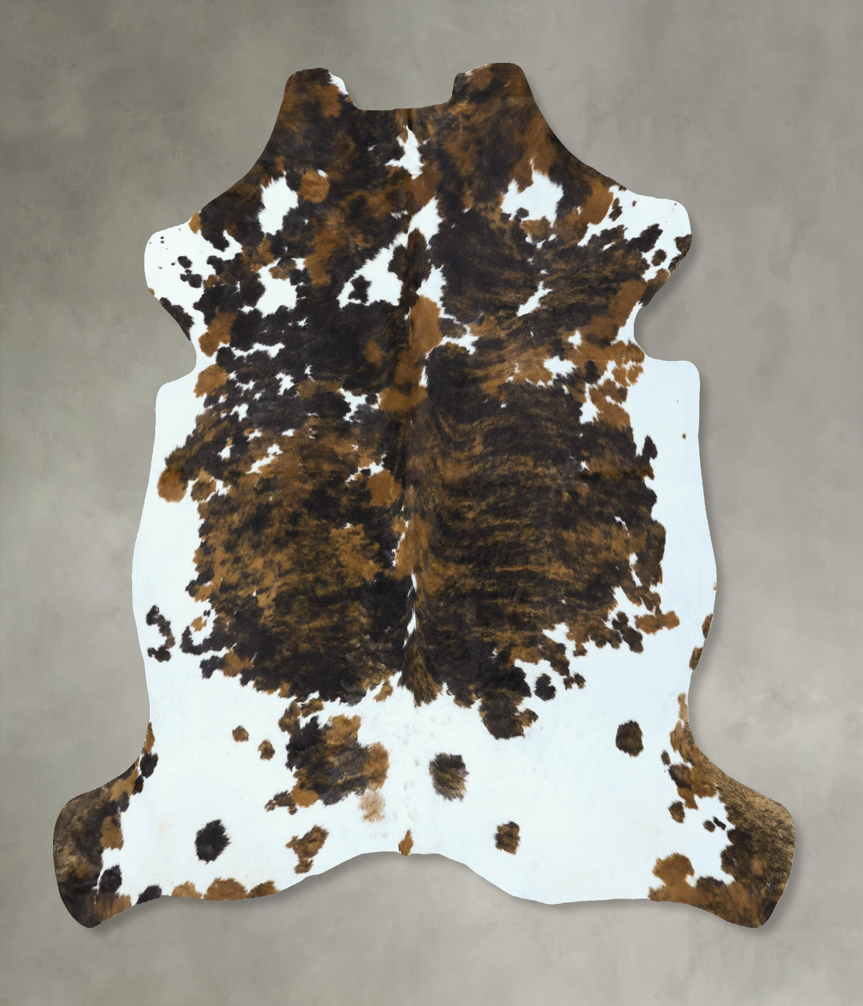 Tricolor Cowhide Rug #B22859