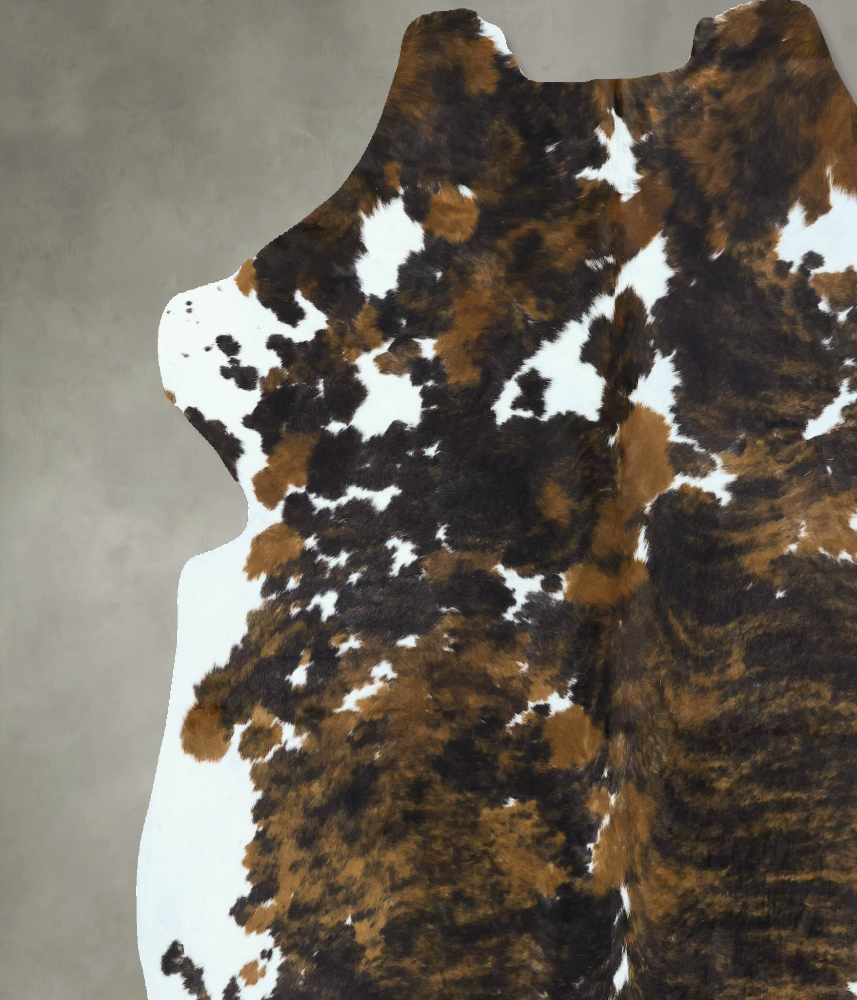 Tricolor Cowhide Rug #B22859
