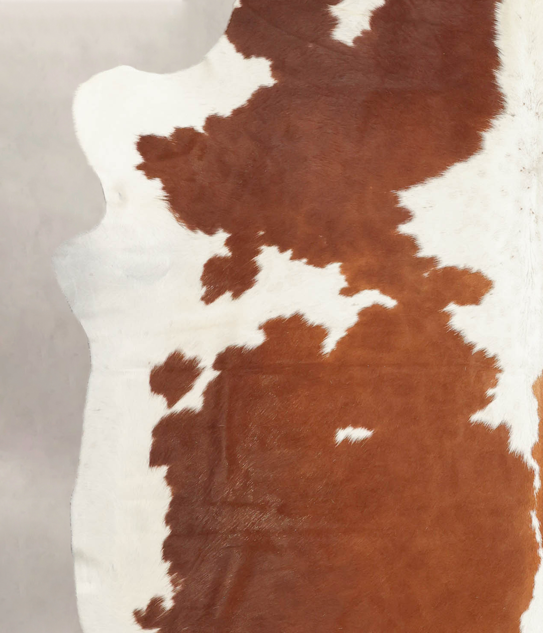 Brown and White X-Large Brazilian Cowhide Rug 7'2"H x 6'6"W #B2286 by 