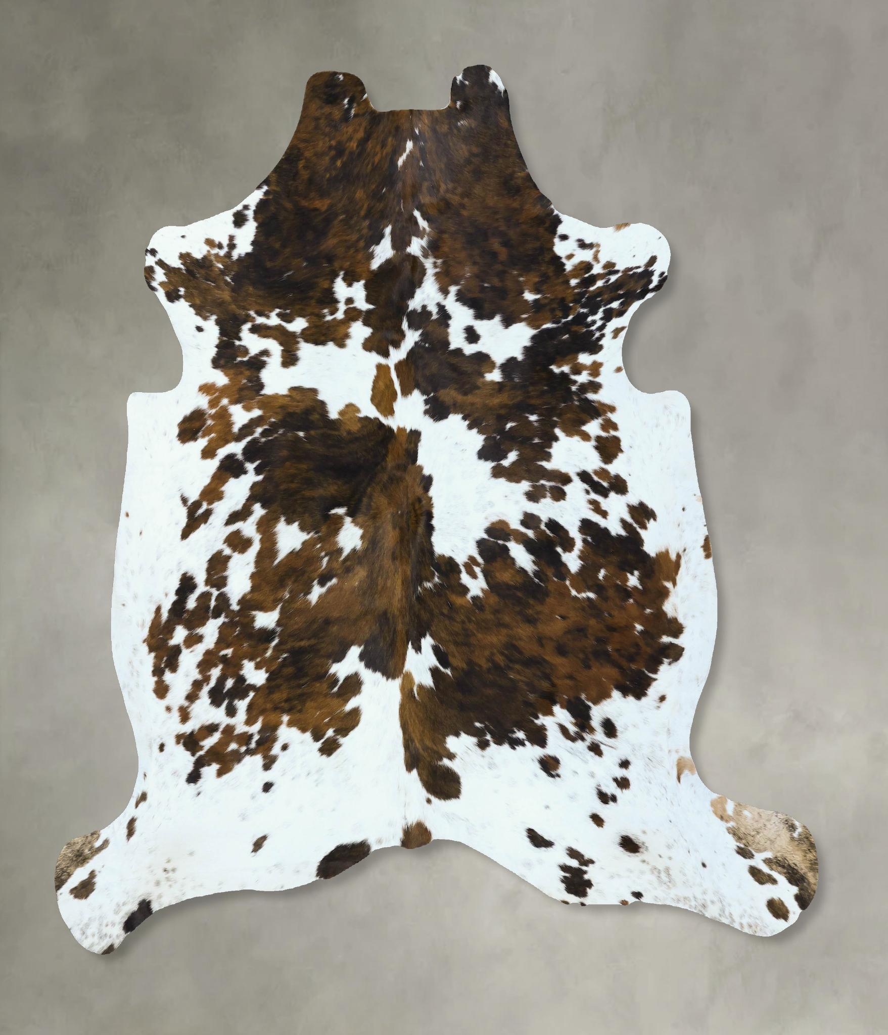 Tricolor Cowhide Rug #B22860