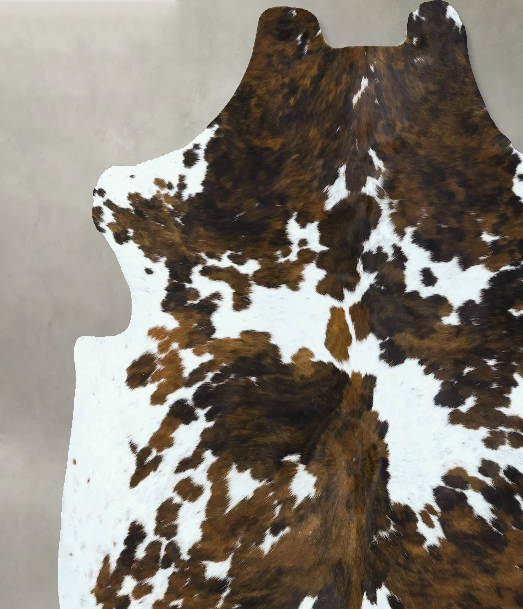 Tricolor Cowhide Rug #B22860