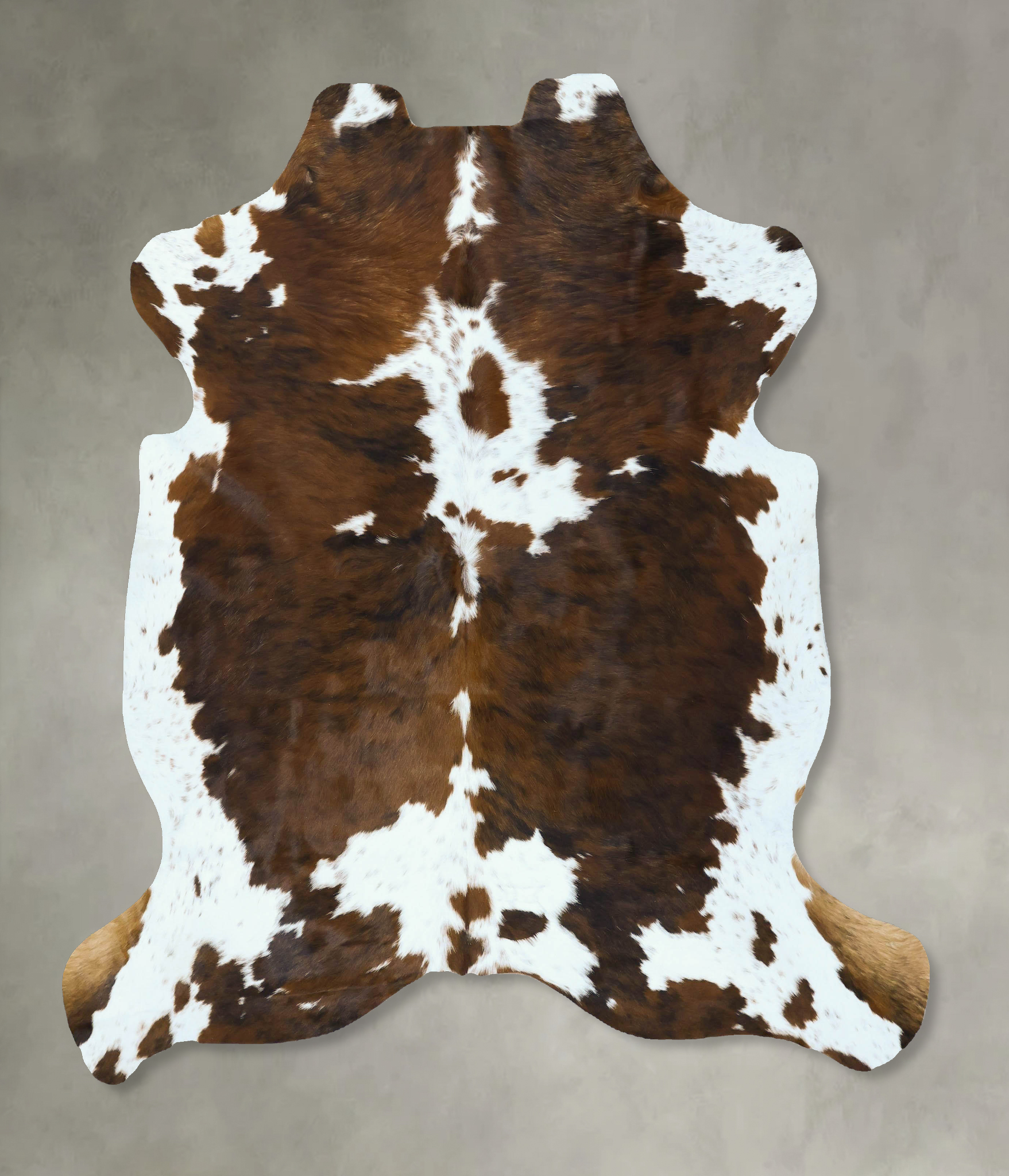Tricolor Cowhide Rug #B22861