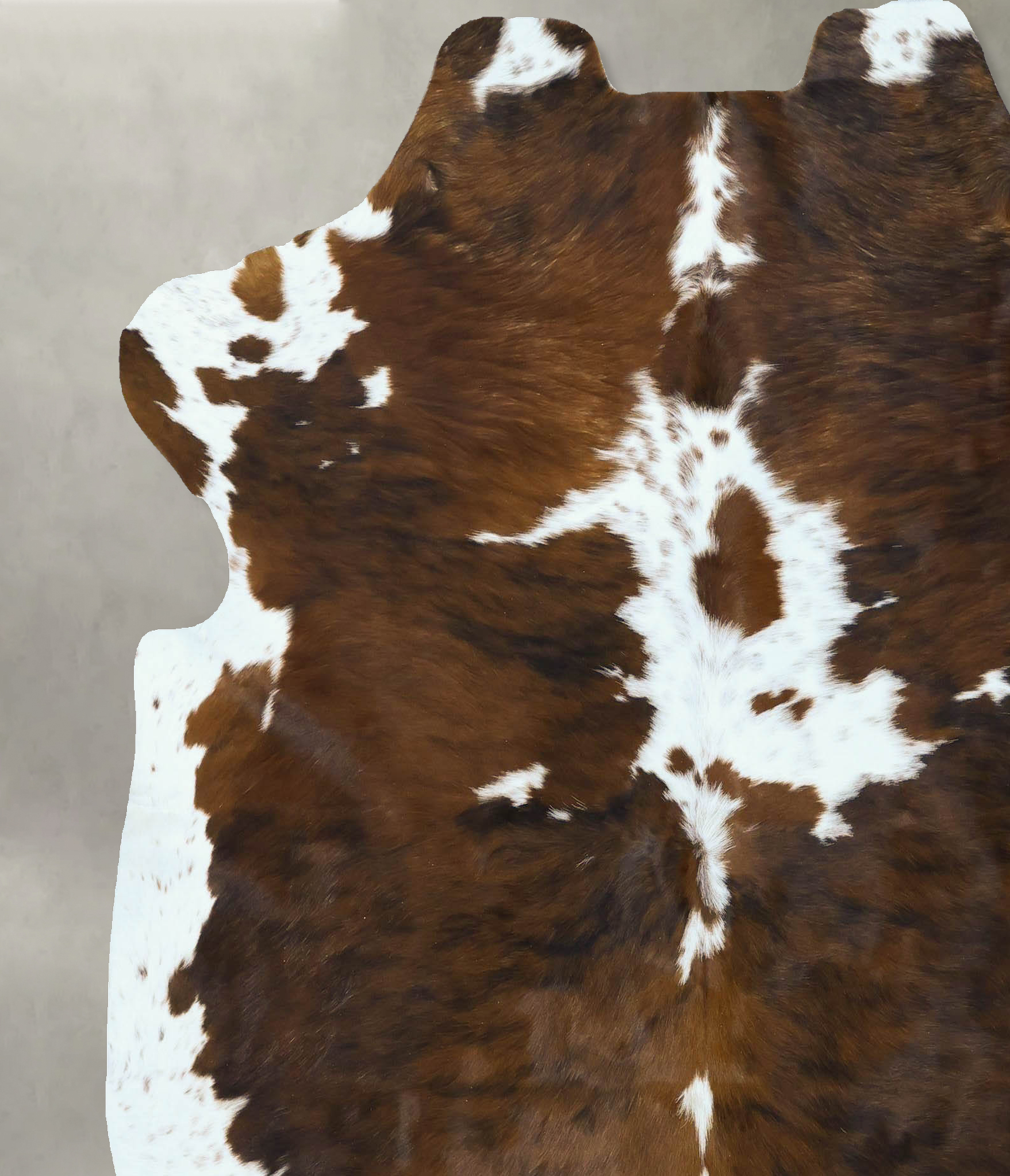 Tricolor Cowhide Rug #B22861