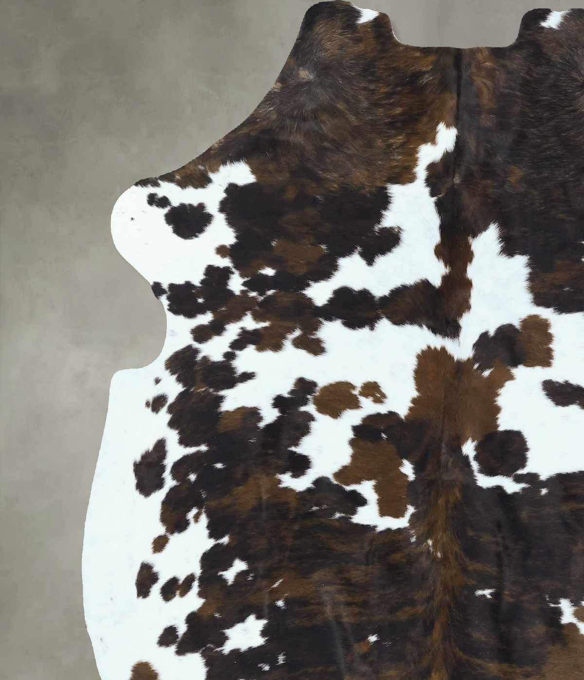 Tricolor X-Large European Cowhide Rug 7'0"H x 5'11"W #B22862 by Hudson Hides