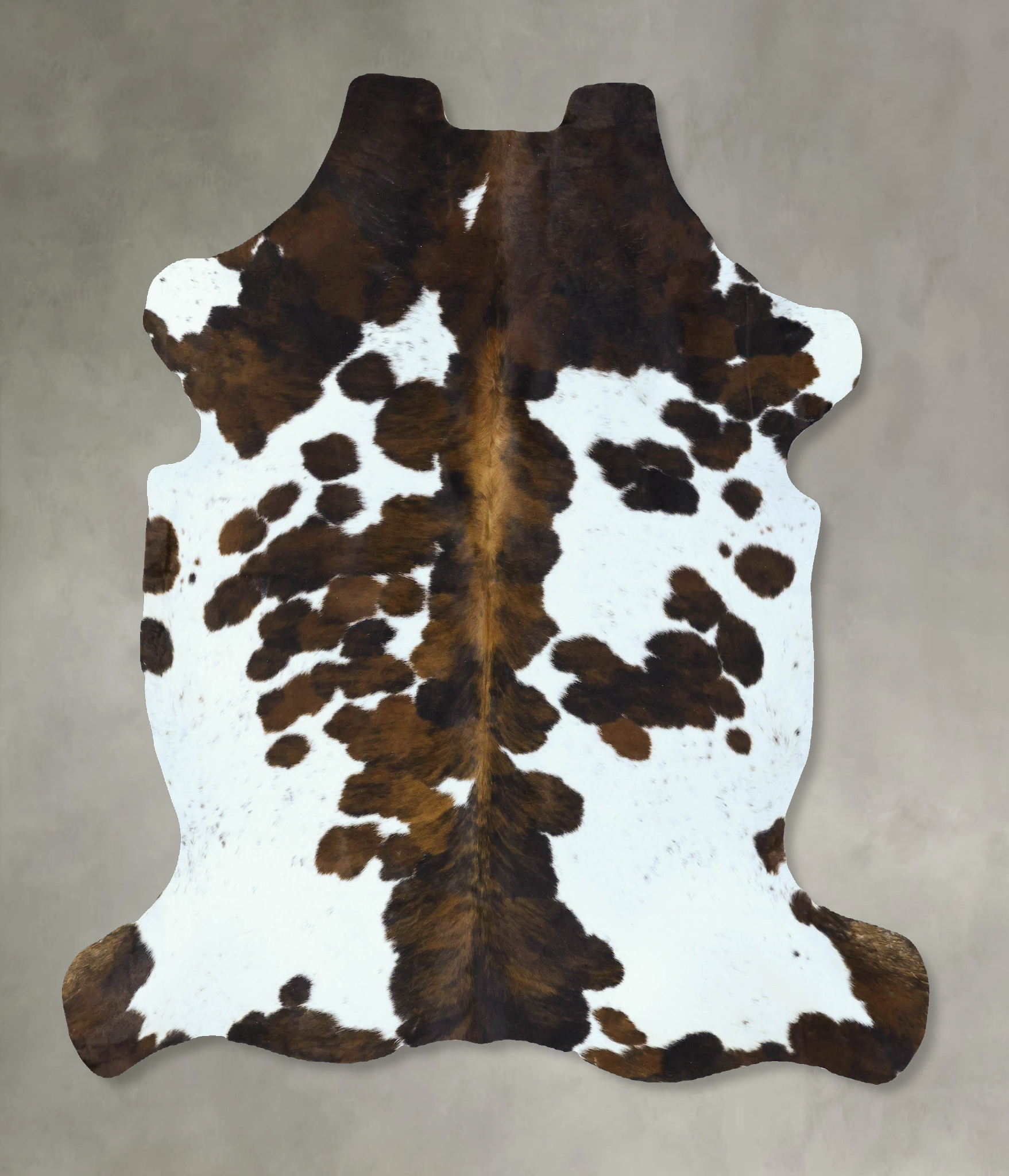 Tricolor Cowhide Rug #B22864