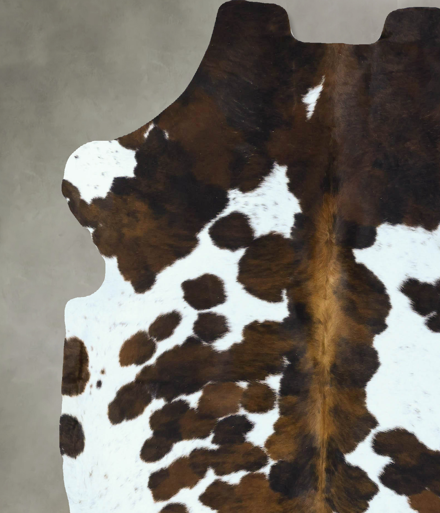Tricolor Cowhide Rug #B22864