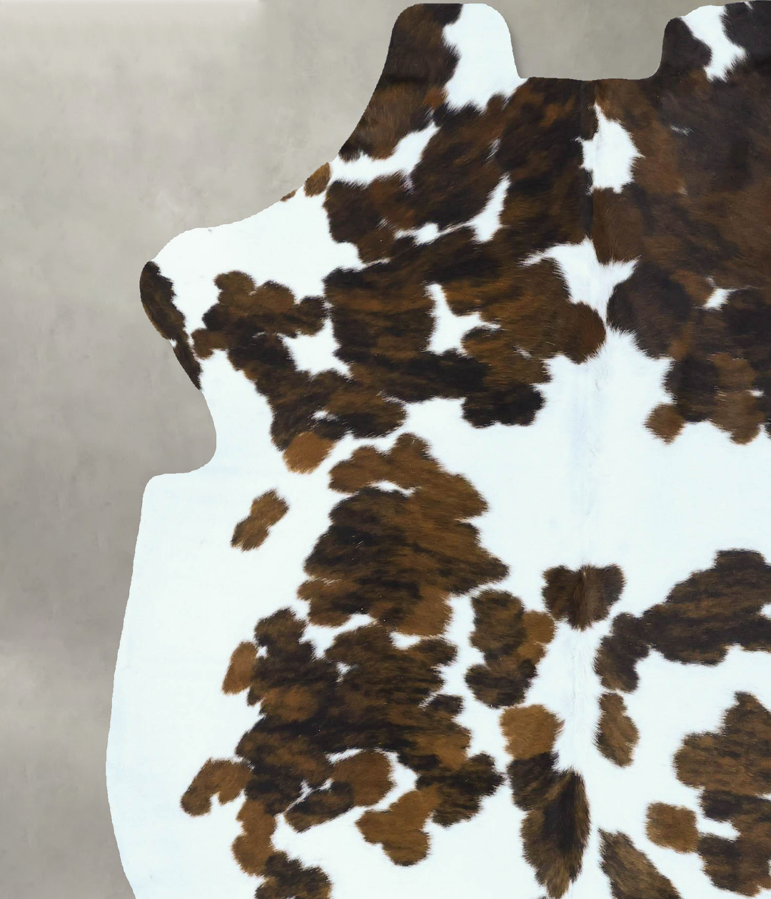 Tricolor Large European Cowhide Rug 6'8"H x 5'11"W #B22866 by Hudson H