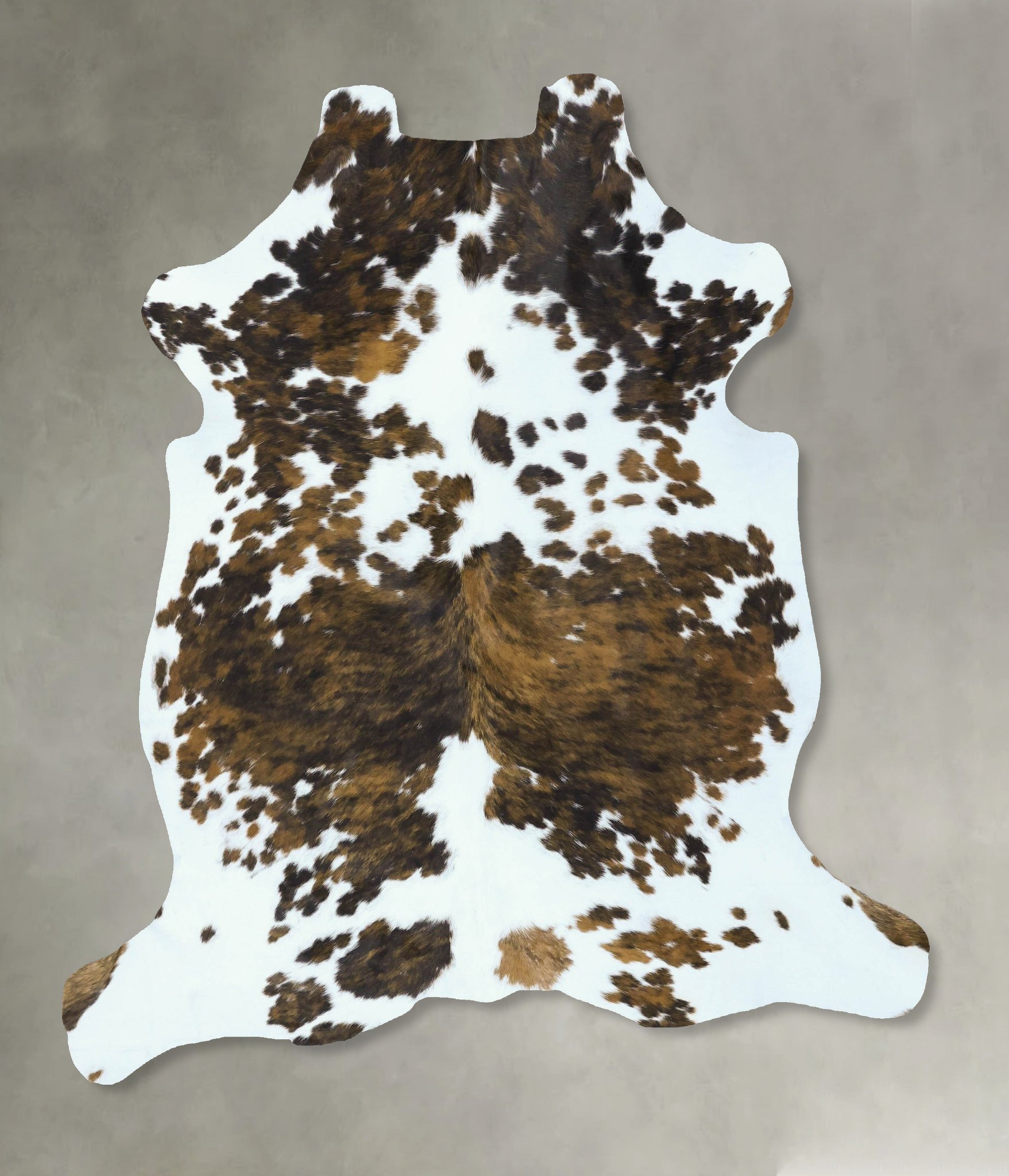 Tricolor Cowhide Rug #B22868