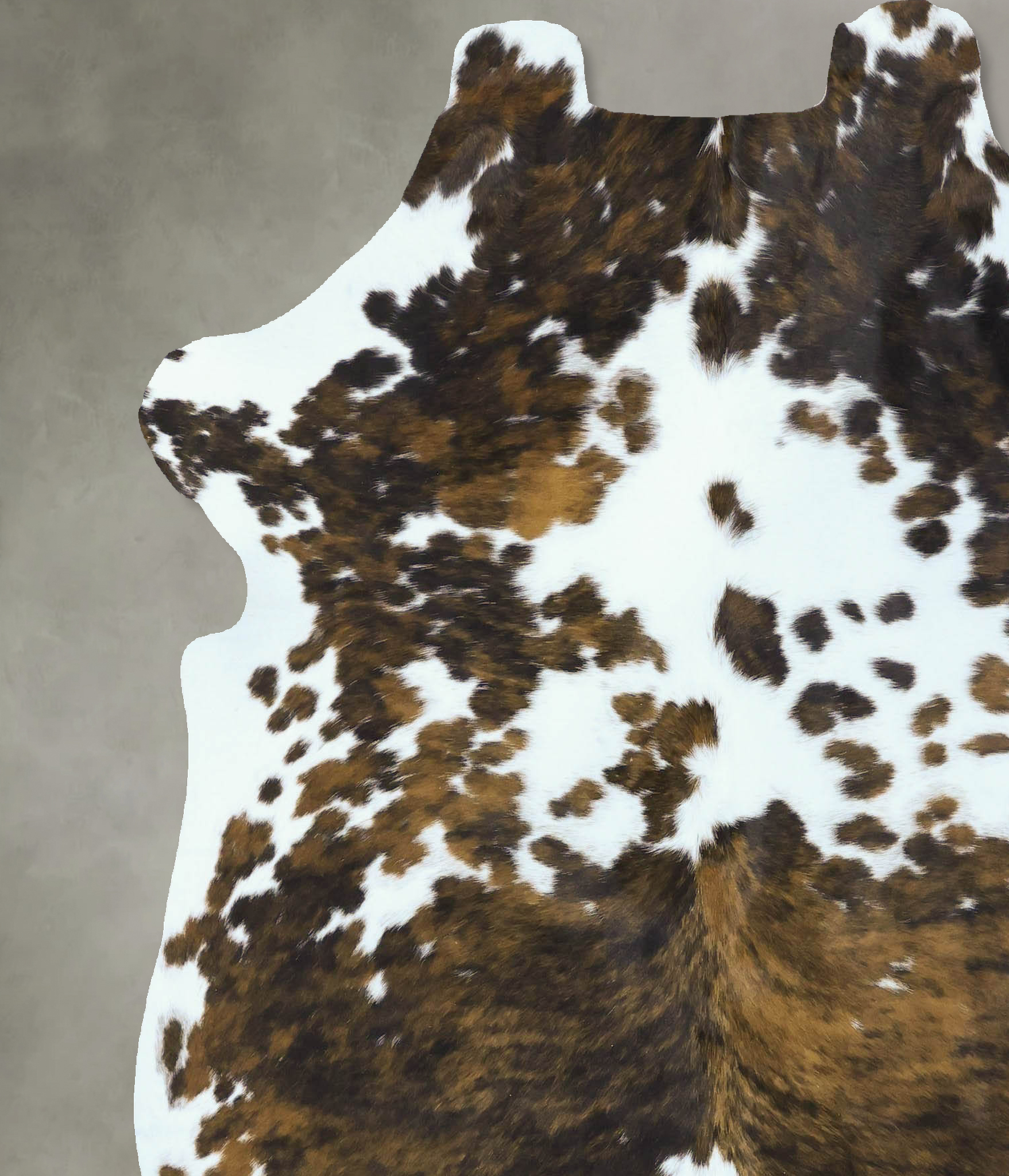 Tricolor Cowhide Rug #B22868