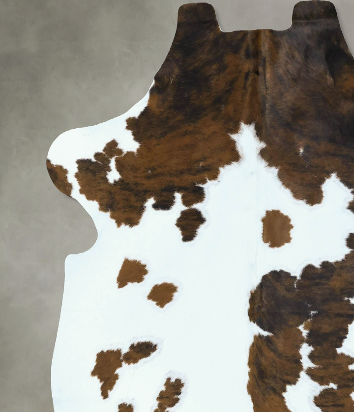 Tricolor Large European Cowhide Rug 6'6"H x 6'2"W #B22869 by Hudson Hides
