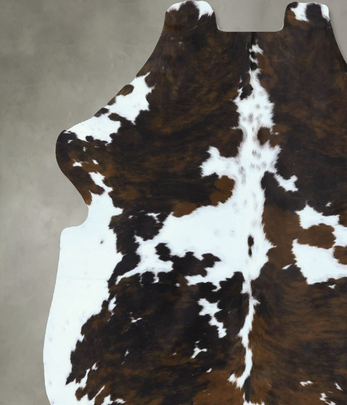 Tricolor X-Large European Cowhide Rug 6'11"H x 6'1"W #B22870 by Hudson Hides