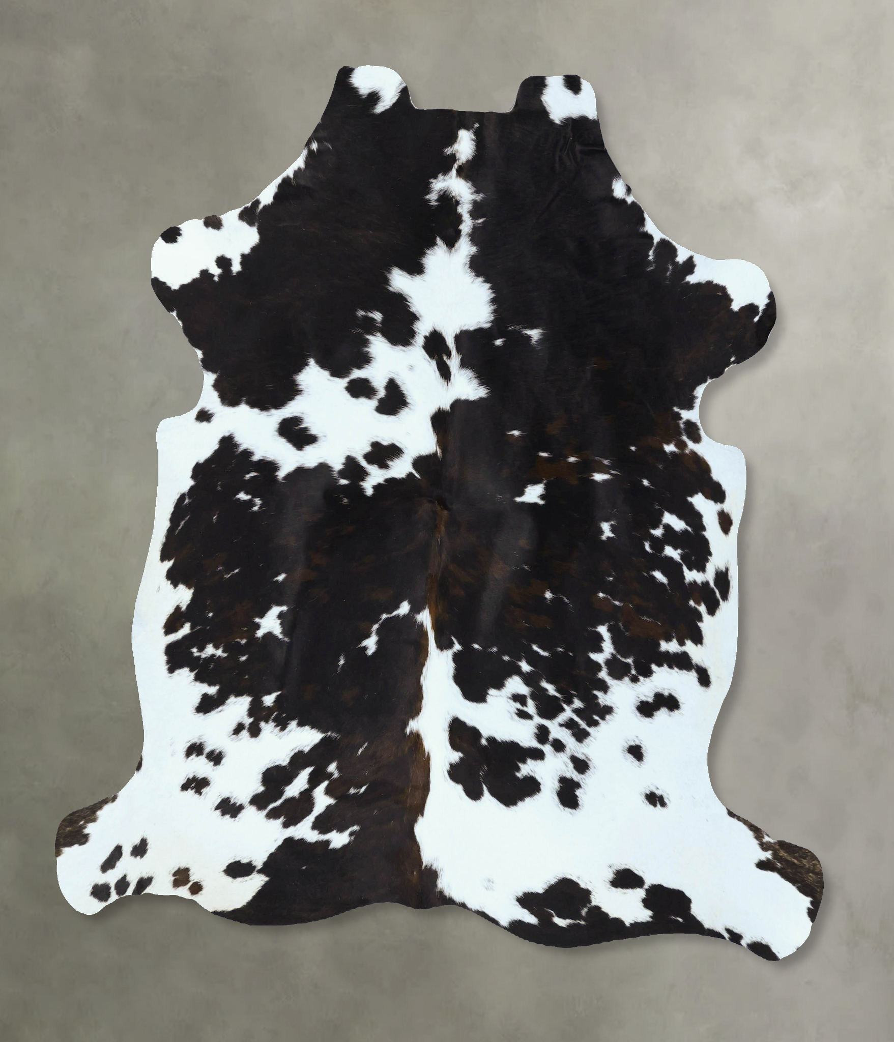 Tricolor Cowhide Rug #B22871