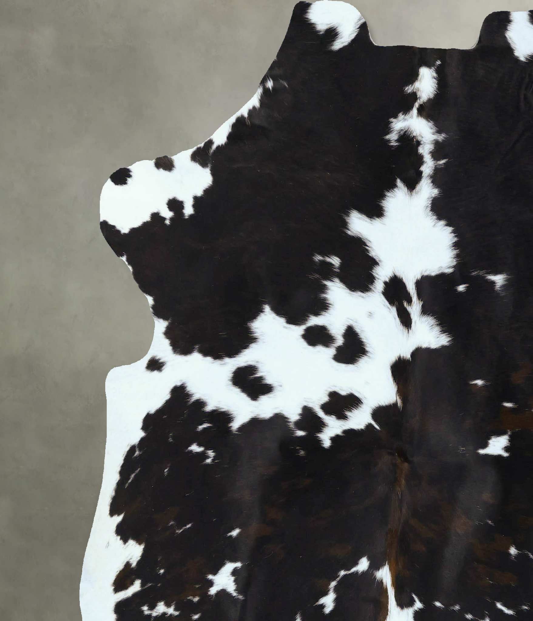 Tricolor Cowhide Rug #B22871