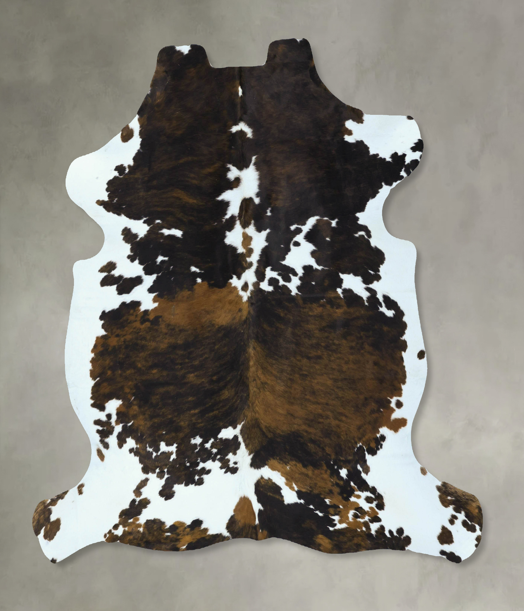 Tricolor Cowhide Rug #B22874
