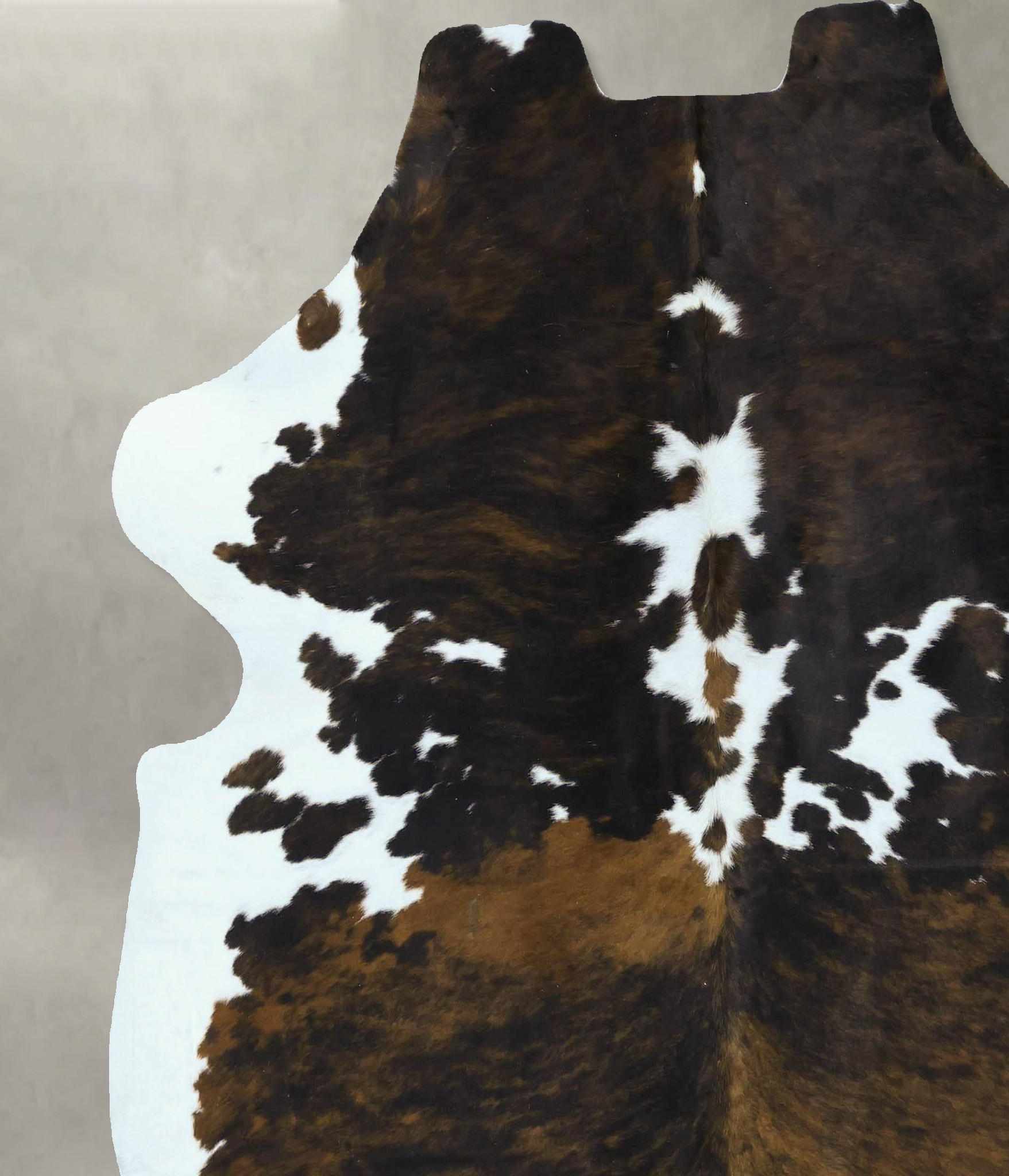 Tricolor Cowhide Rug #B22874