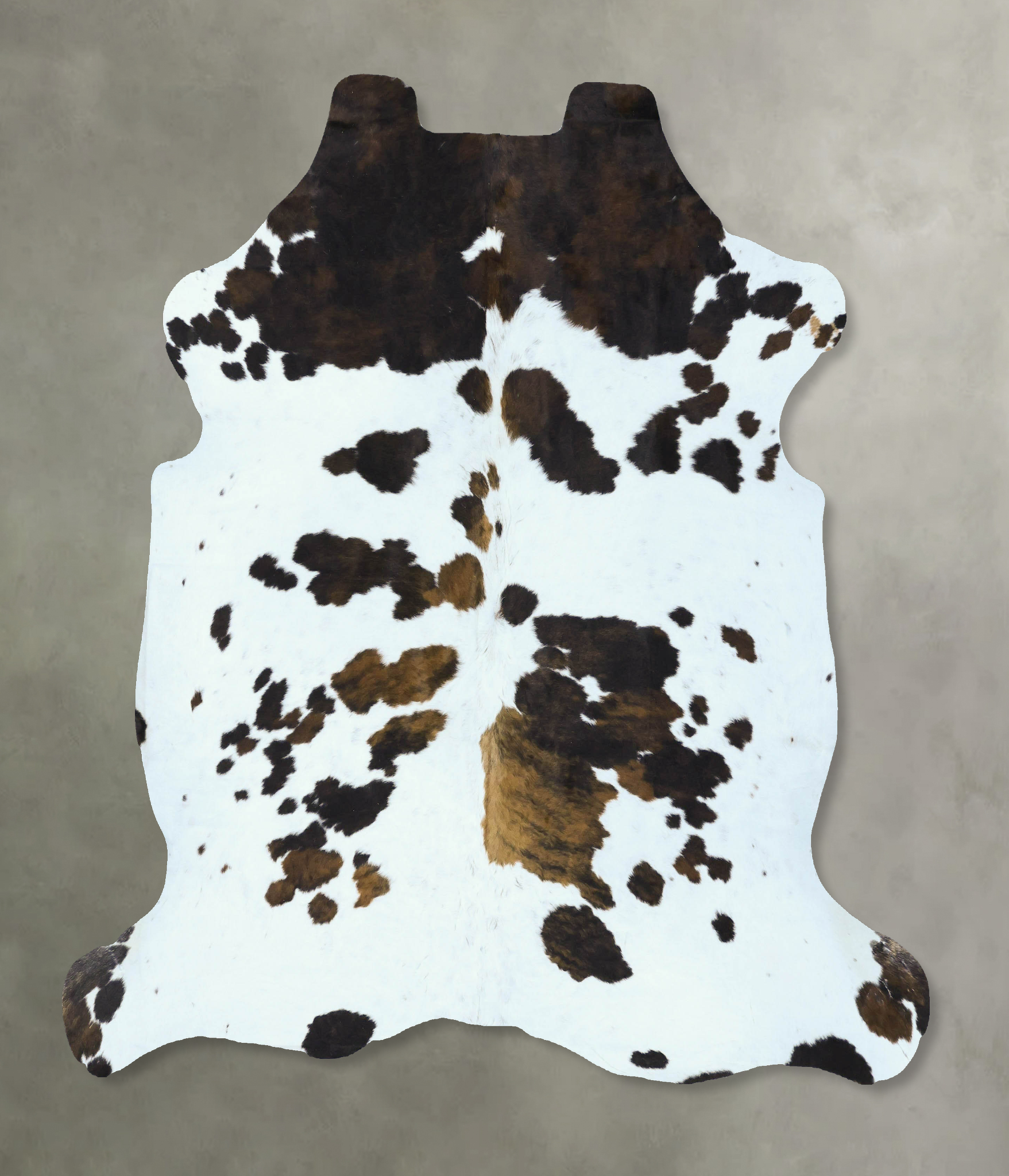 Tricolor Cowhide Rug #B22876