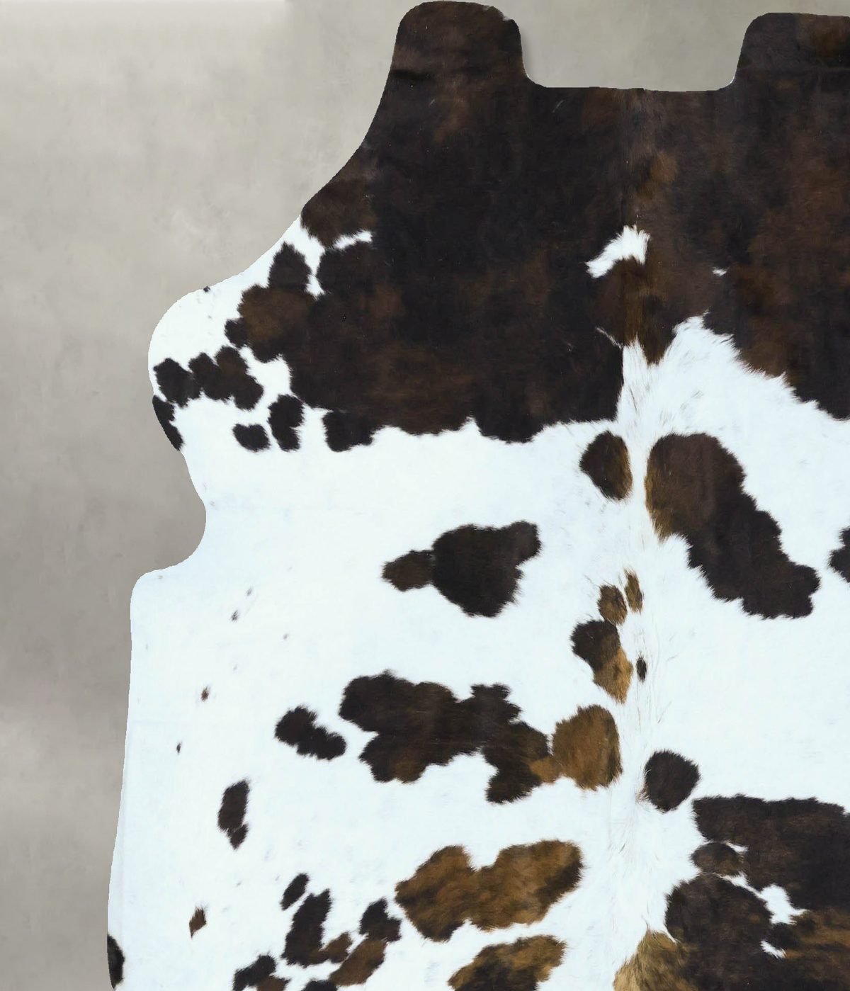 Tricolor X-Large European Cowhide Rug 6'9"H x 6'6"W #B22876 by Hudson Hides