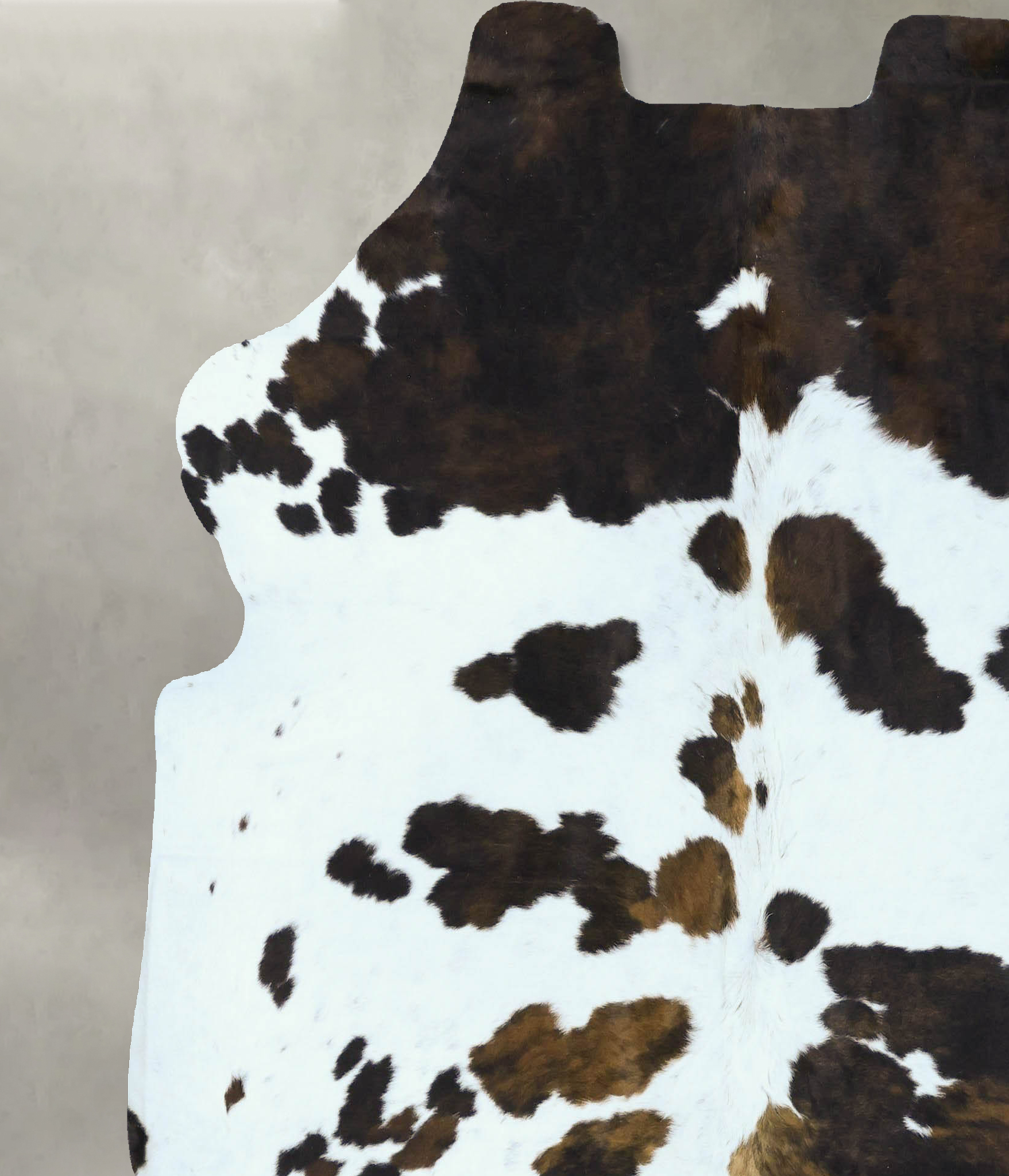 Tricolor Cowhide Rug #B22876