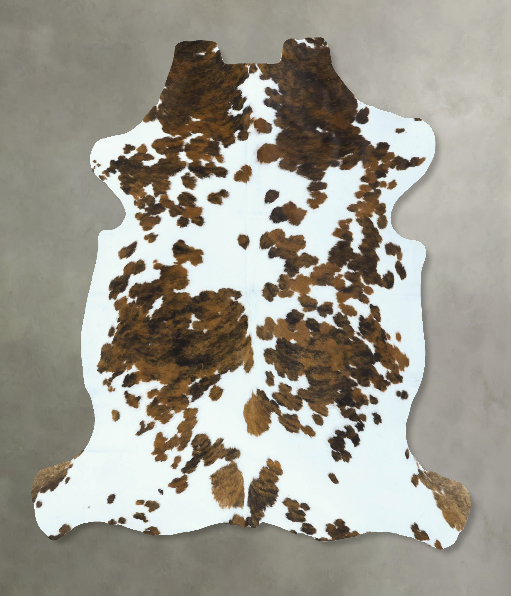 Tricolor Cowhide Rug #B22877