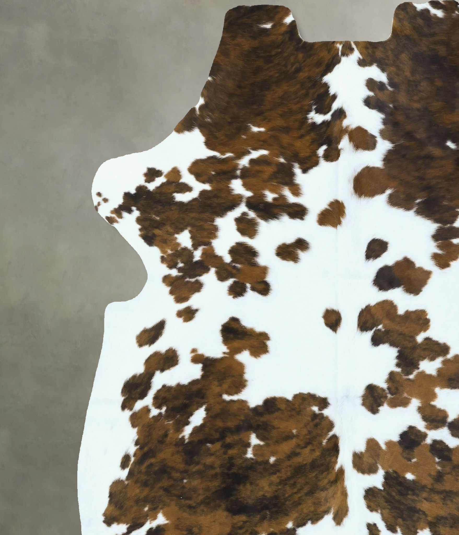 Tricolor Cowhide Rug #B22877