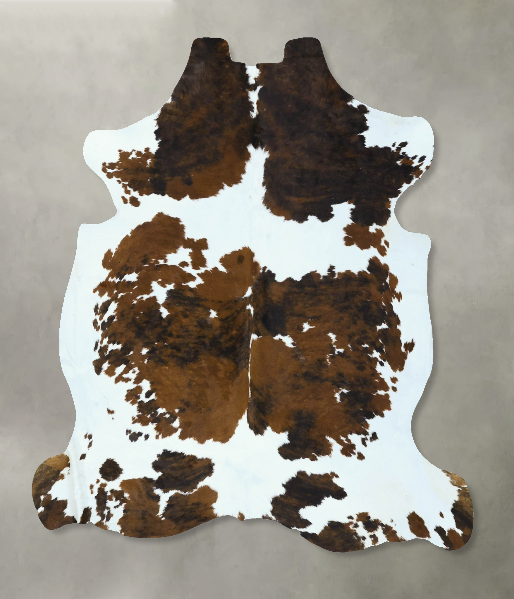 Tricolor Cowhide Rug #B22879