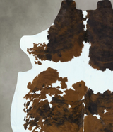 Tricolor X-Large European Cowhide Rug 6'10"H x 6'3"W #B22879 by Hudson Hides