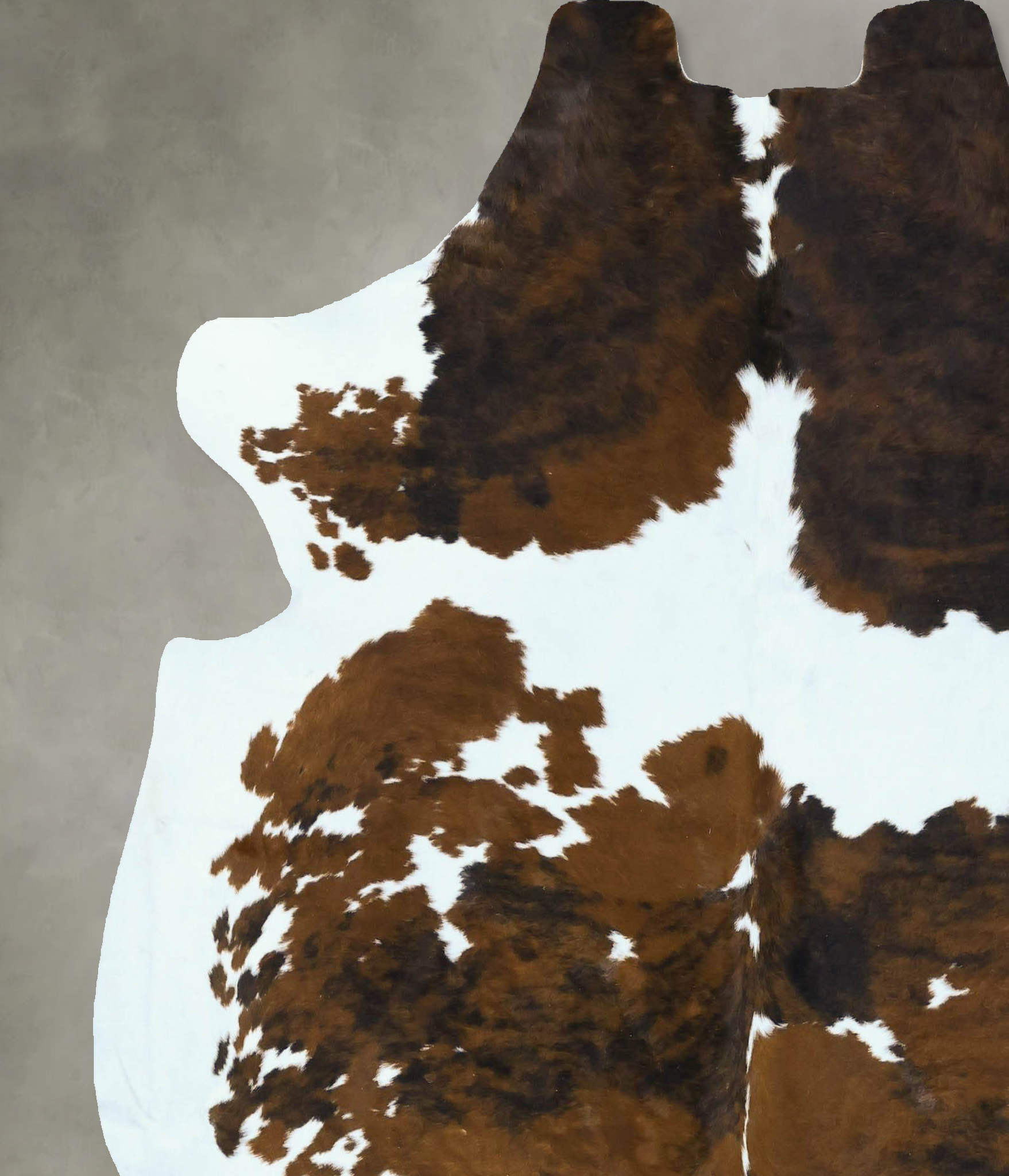 Tricolor Cowhide Rug #B22879