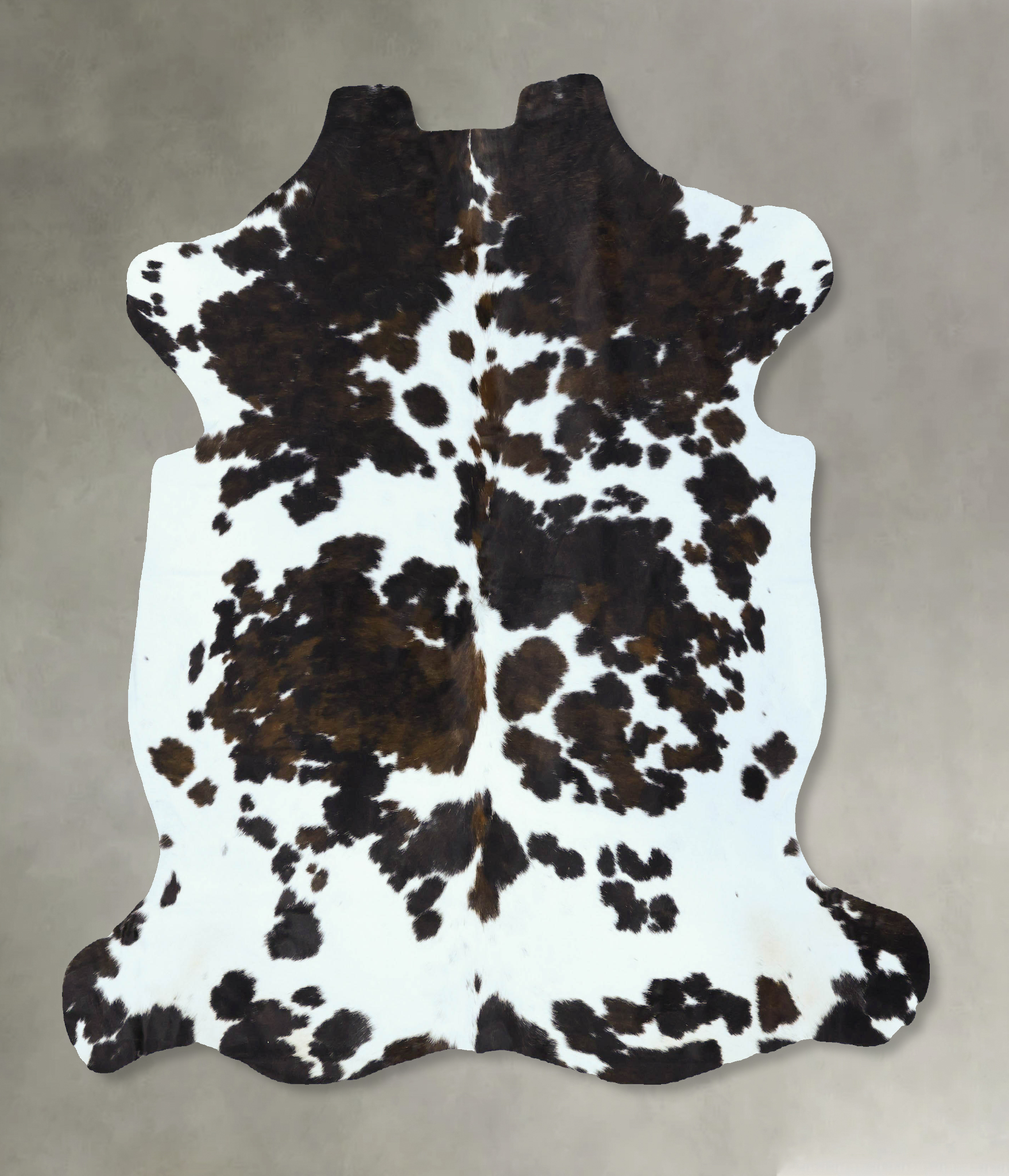Tricolor Cowhide Rug #B22880