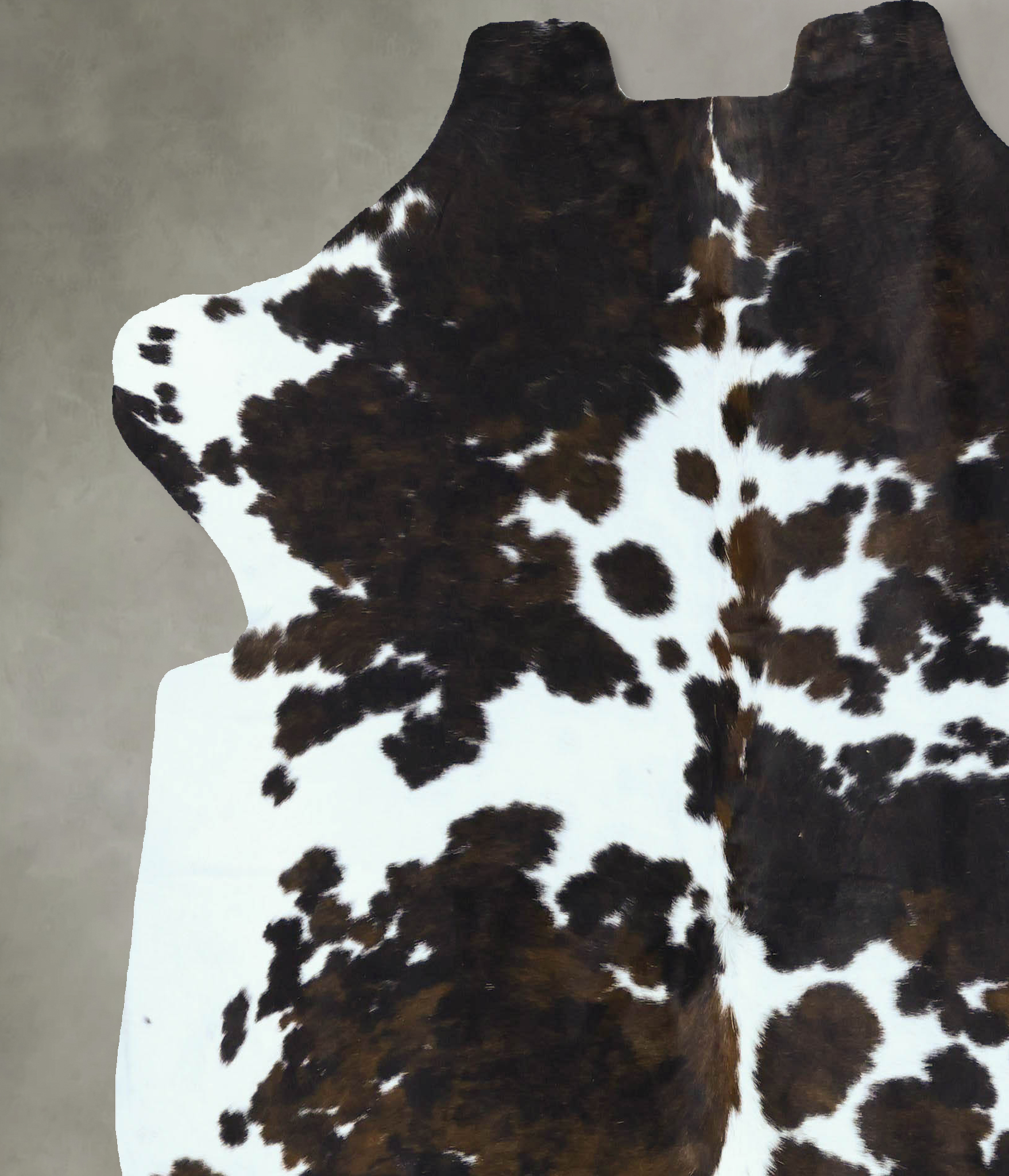 Tricolor Cowhide Rug #B22880