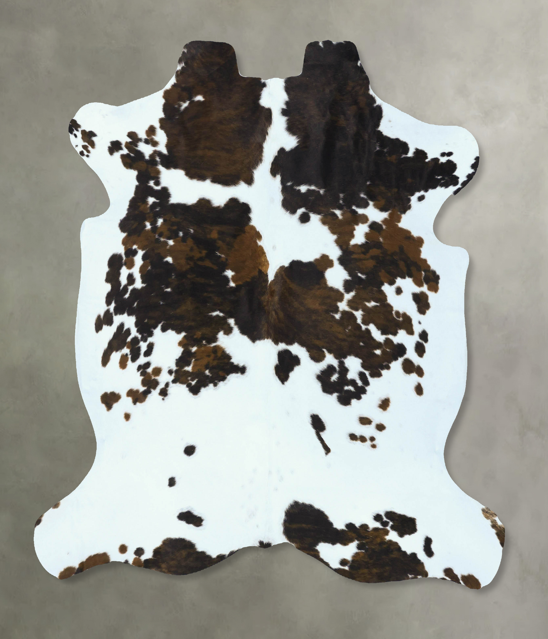 Tricolor Cowhide Rug #B22881