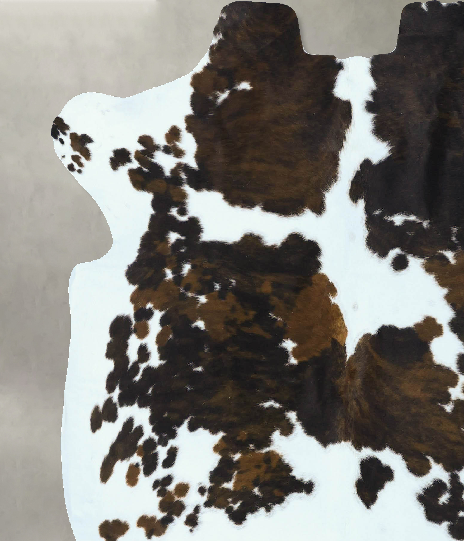 Tricolor Cowhide Rug #B22881