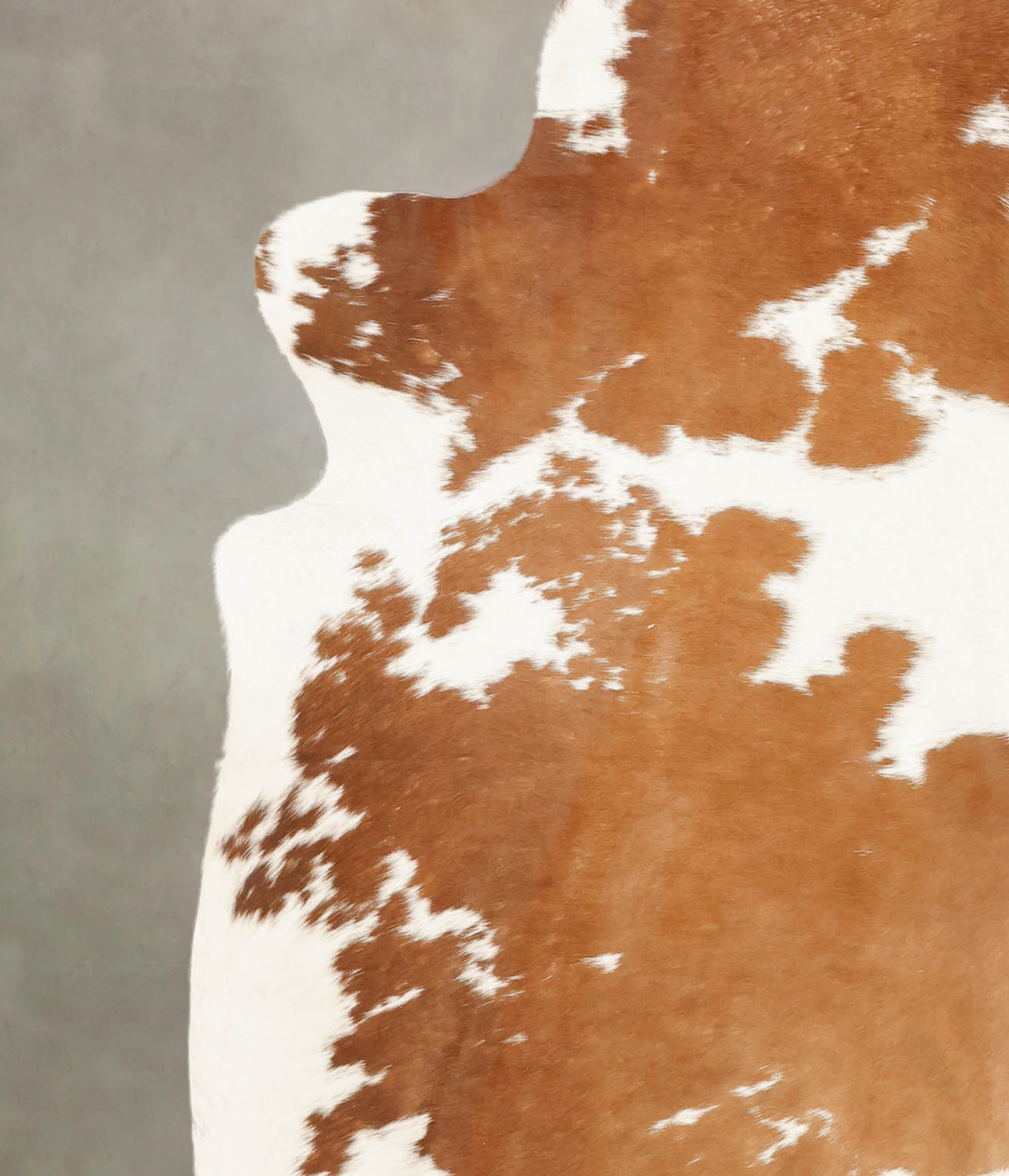 Brown and White XX-Large Brazilian Cowhide Rug 7'10"H x 6'9"W #B2289 b