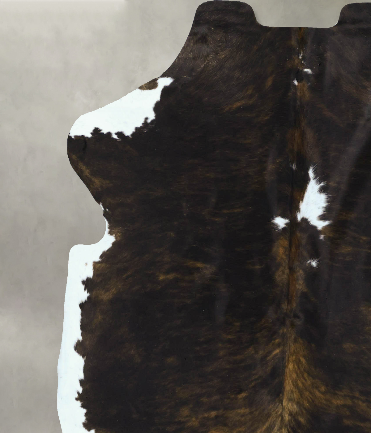 Tricolor X-Large European Cowhide Rug 7'4"H x 6'8"W #B22891 by Hudson Hides