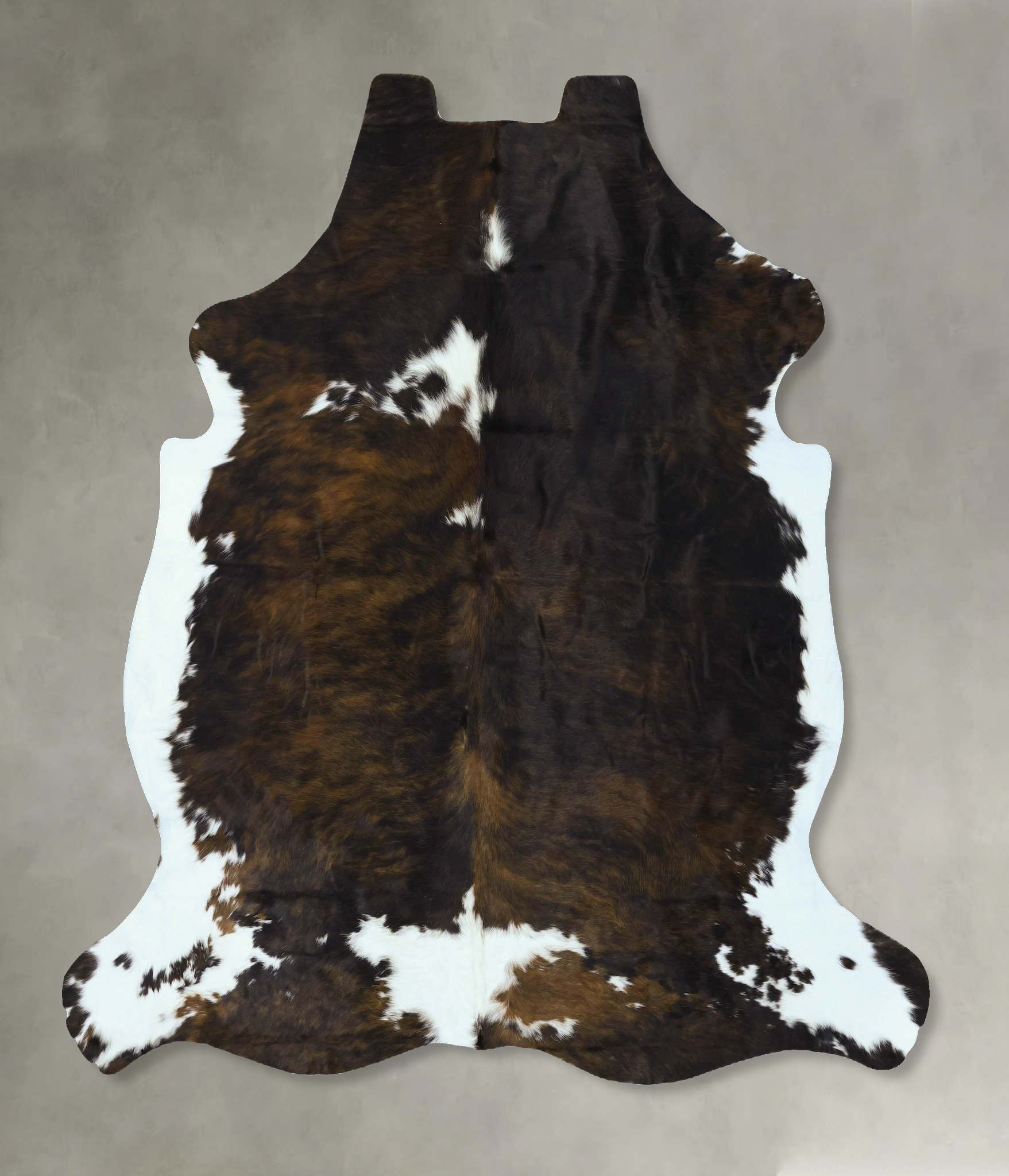Tricolor Cowhide Rug #B22892