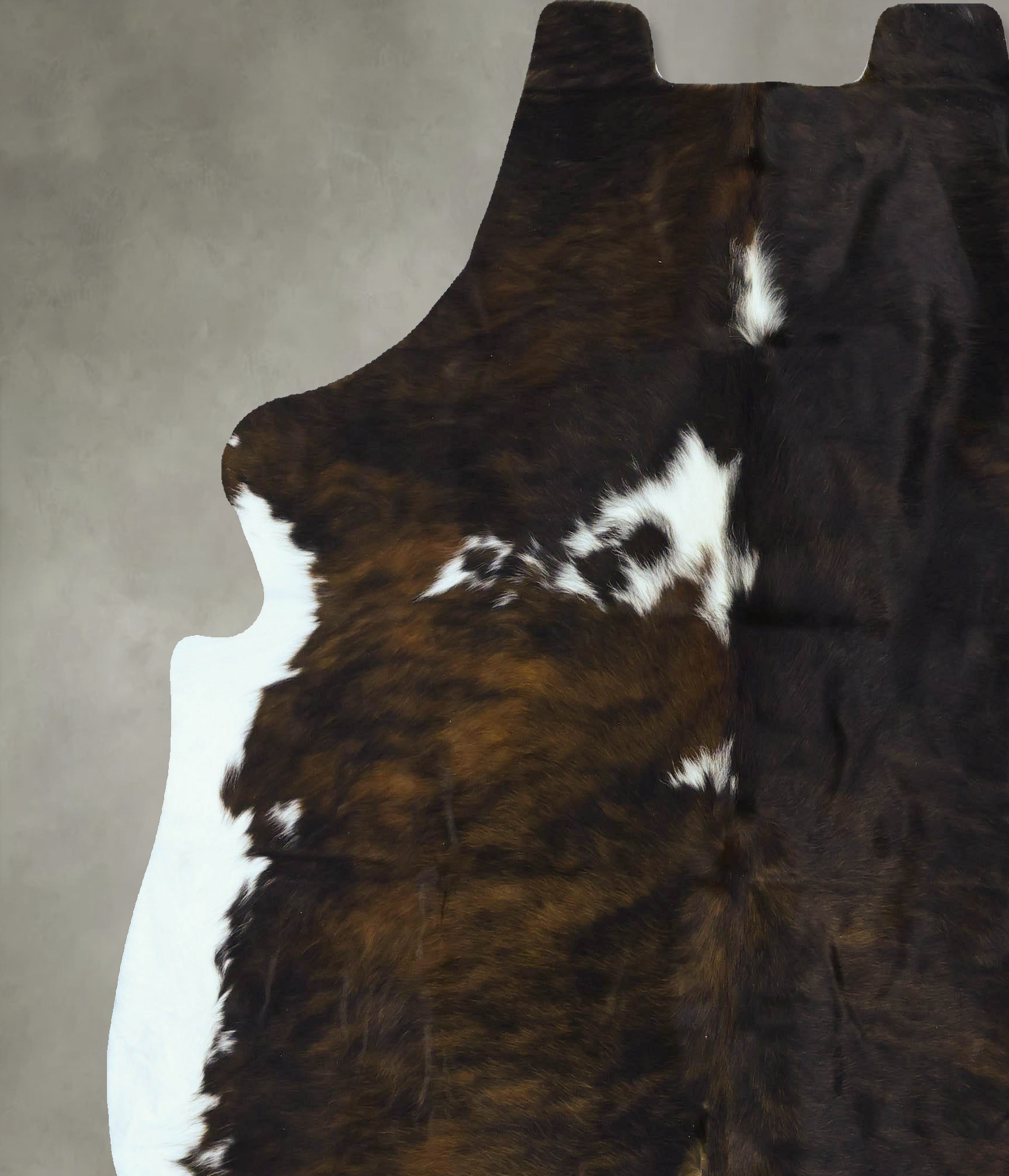 Tricolor Cowhide Rug #B22892