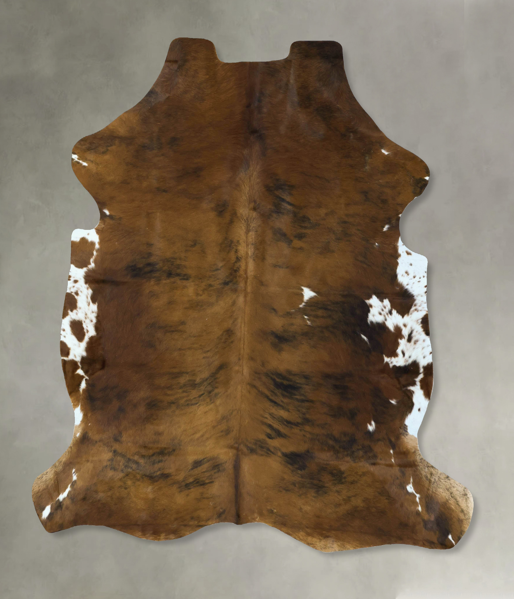 Tricolor Cowhide Rug #B22893