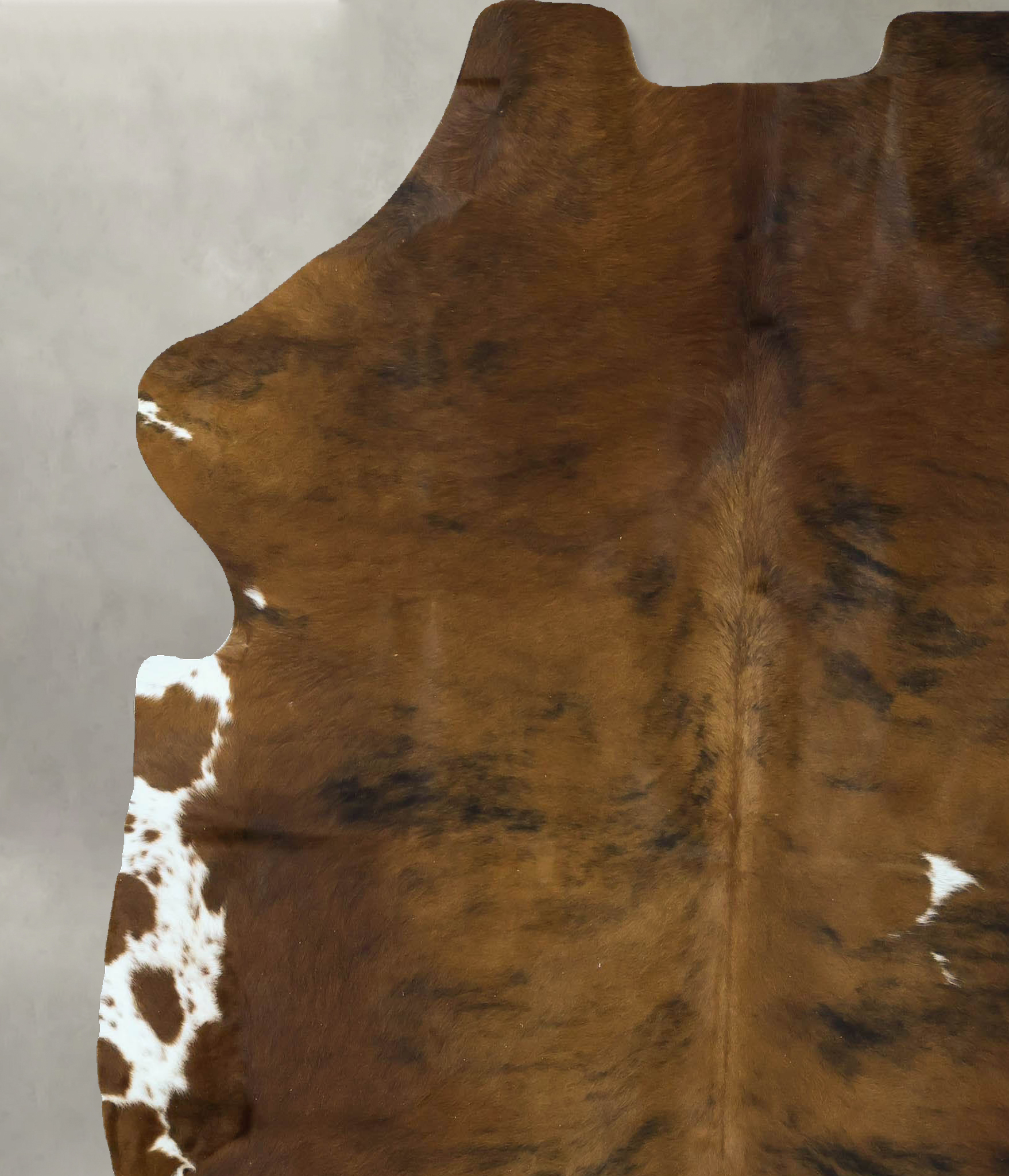 Tricolor Cowhide Rug #B22893