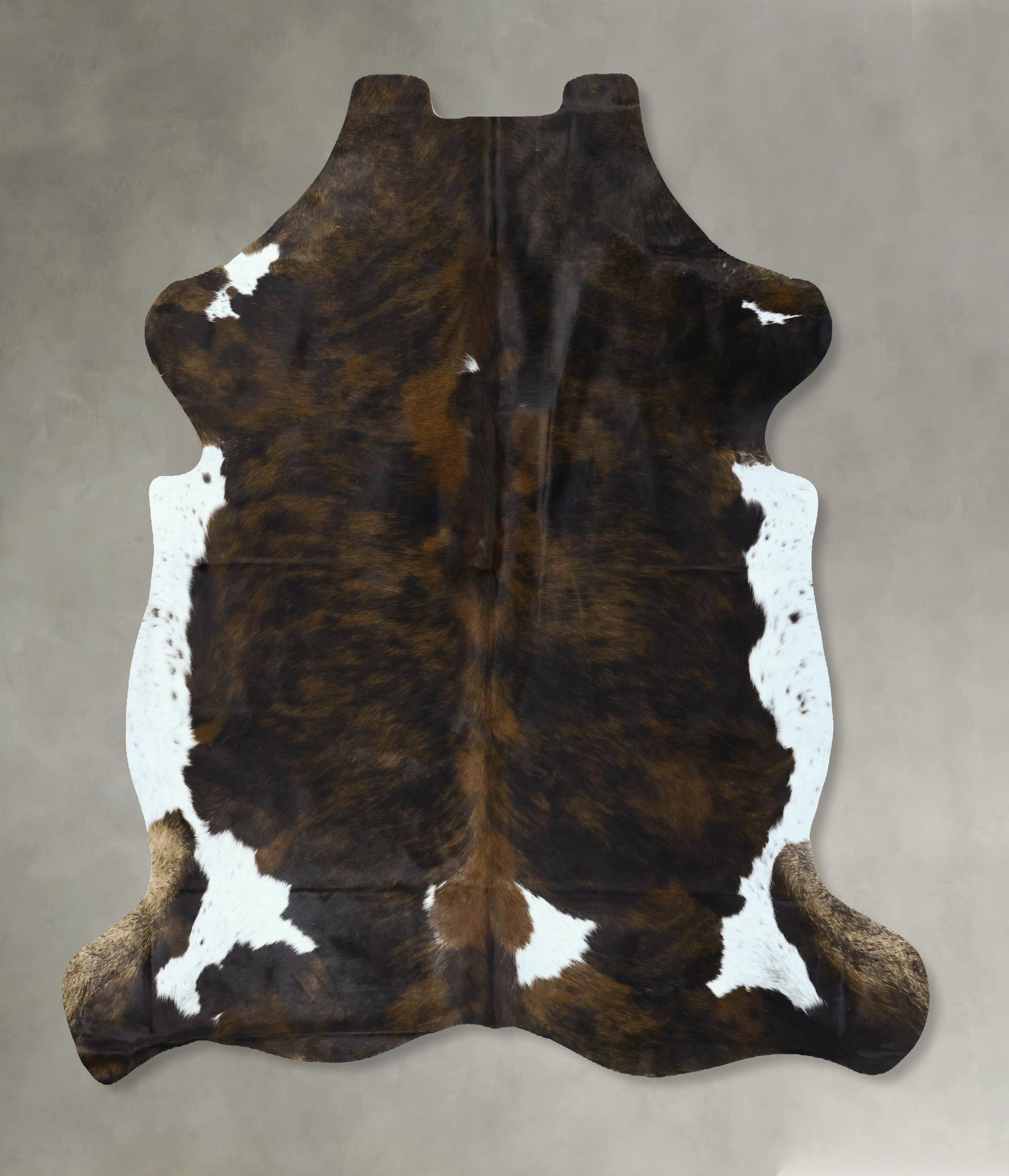 Tricolor Cowhide Rug #B22894