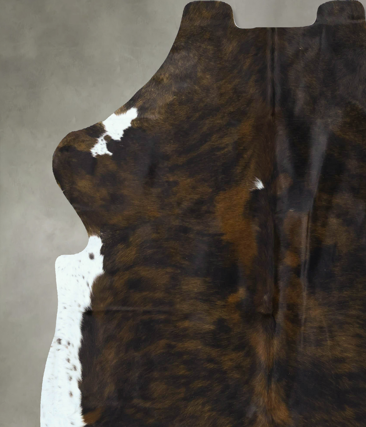 Tricolor X-Large European Cowhide Rug 7'1"H x 6'7"W #B22894 by Hudson Hides