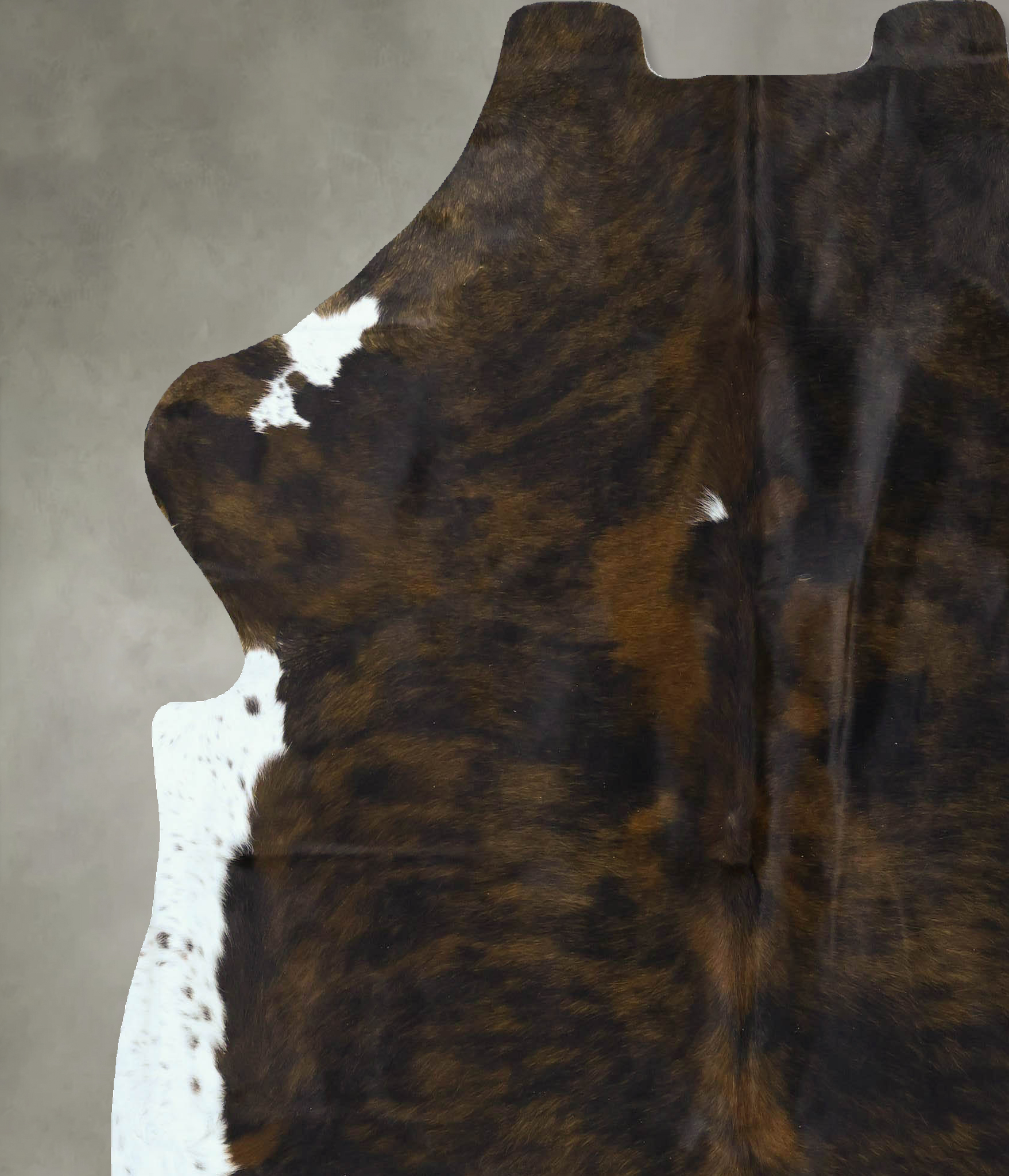 Tricolor Cowhide Rug #B22894