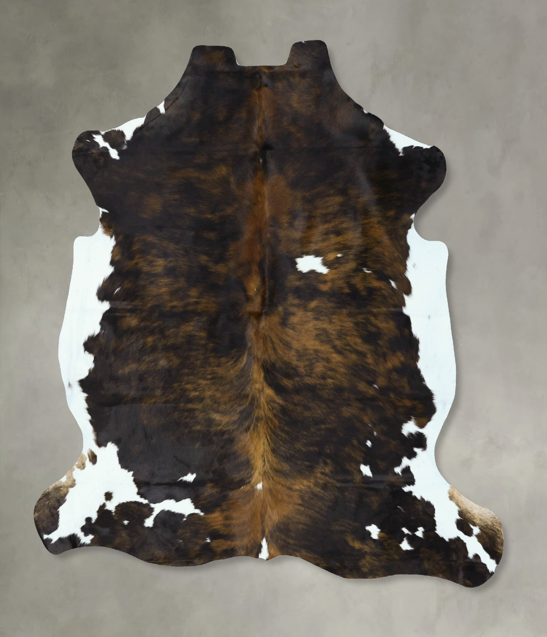 Tricolor Cowhide Rug #B22895