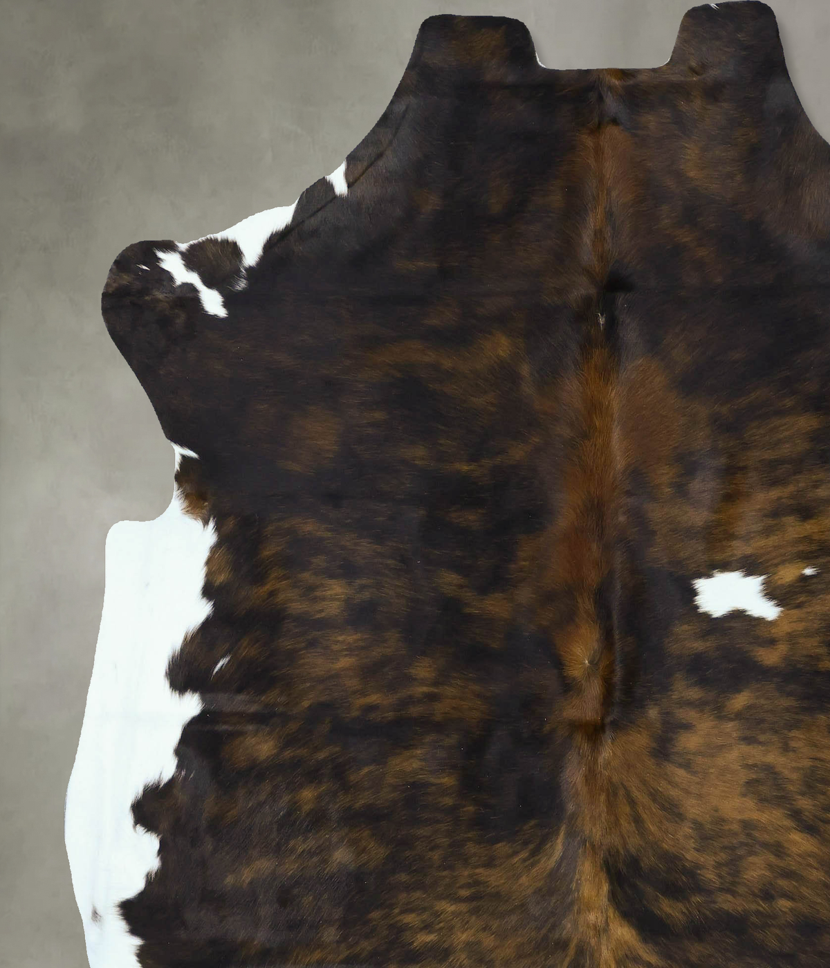 Tricolor X-Large European Cowhide Rug 7'4"H x 6'7"W #B22895 by Hudson Hides